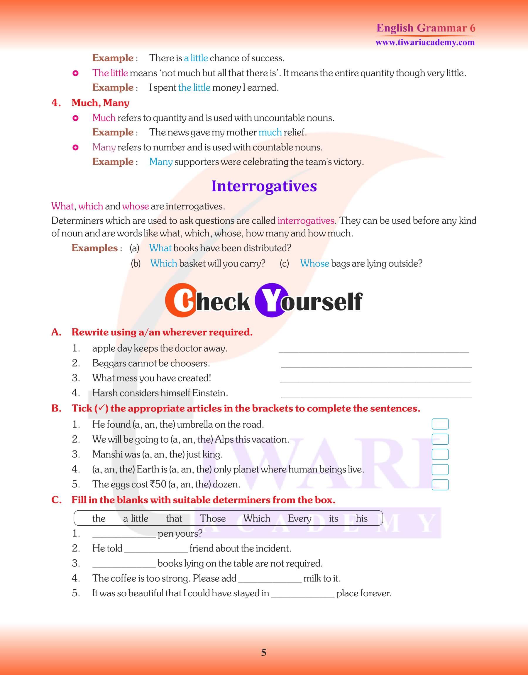 Class 6 Grammar Determiners Worksheets