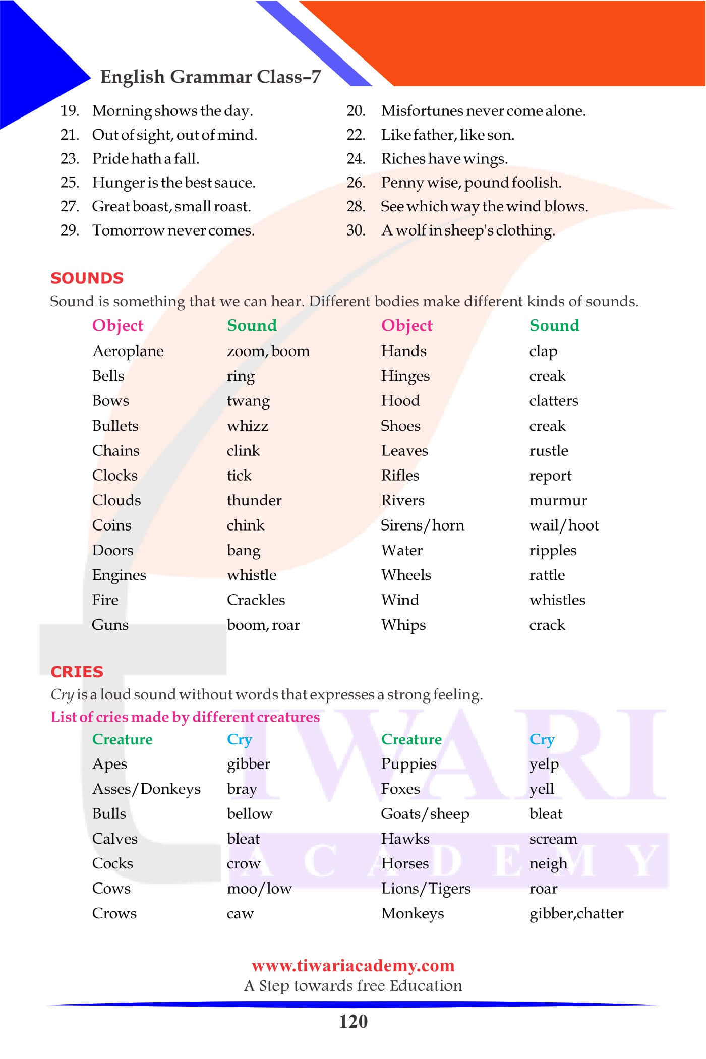 Class 7 English Grammar Chapter 19 Various type of word power