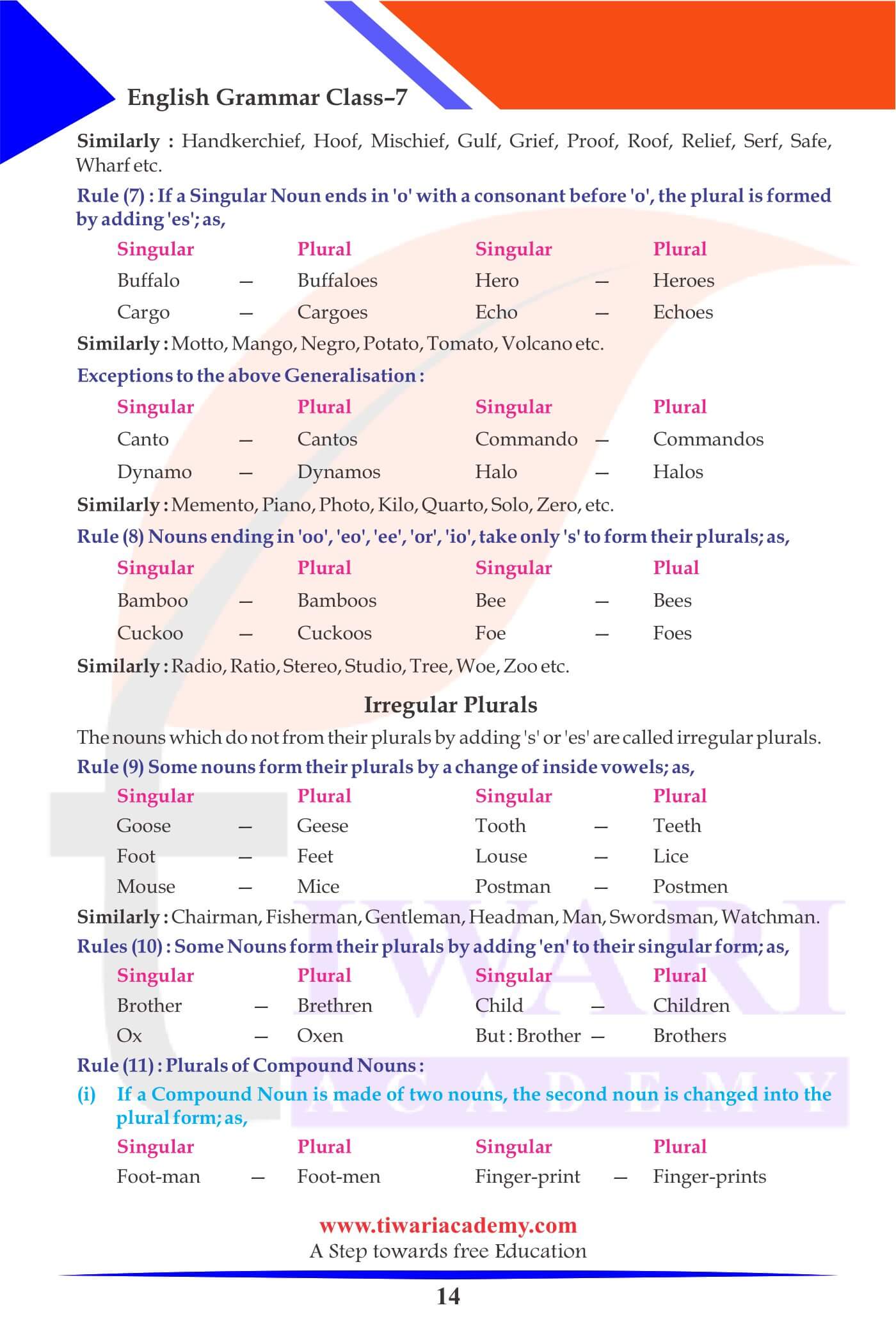 Class 7 Grammar The Noun Numbers