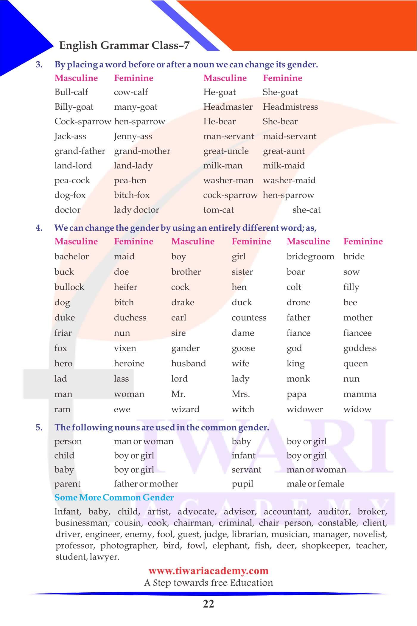 Class 7 English Grammar Chapter 4 practice