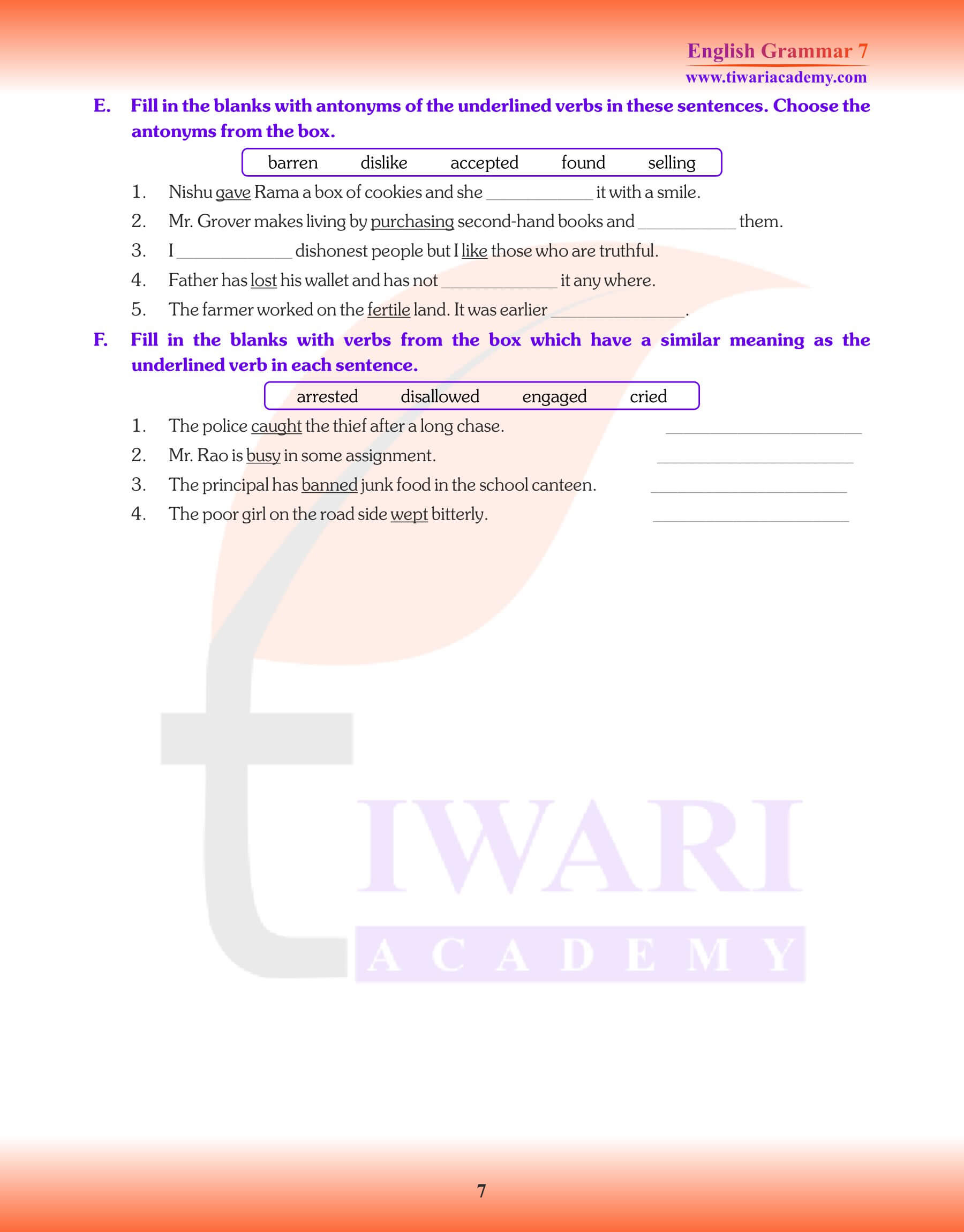 Class 7 English Grammar Chapter 19 Exercises