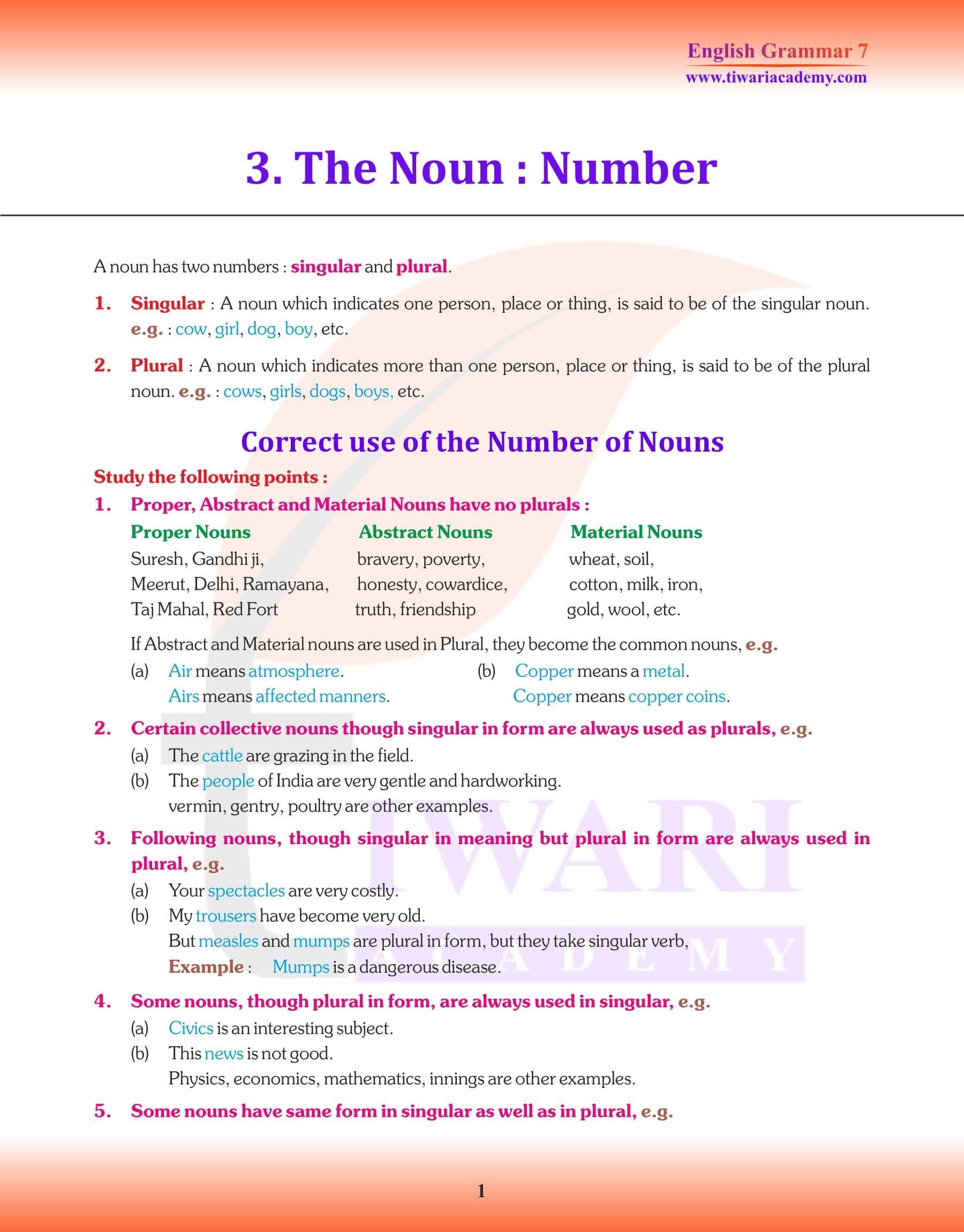 Class 7 English Grammar Chapter 3 The Noun Numbers