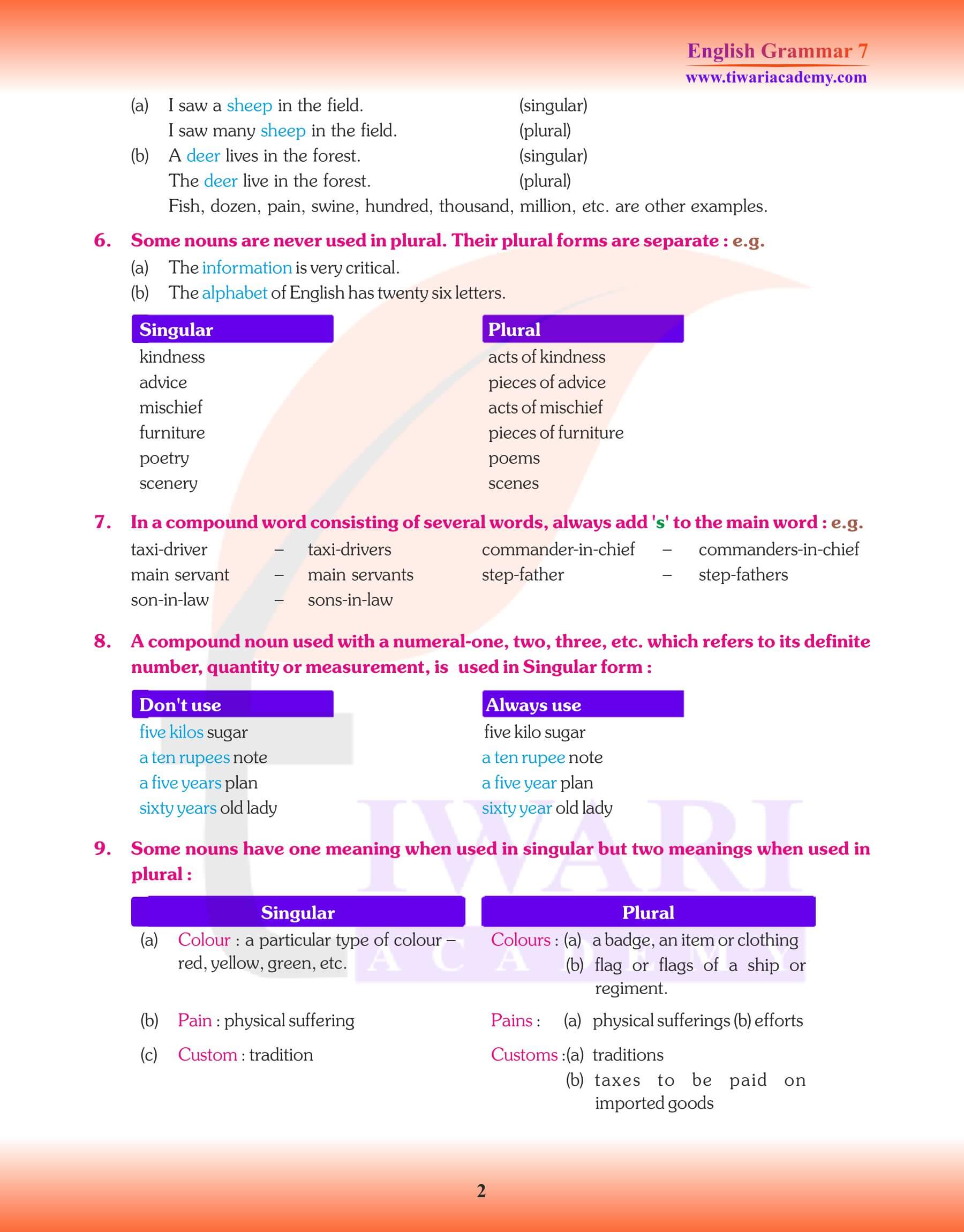 Class 7 English Grammar Chapter 3 Revision