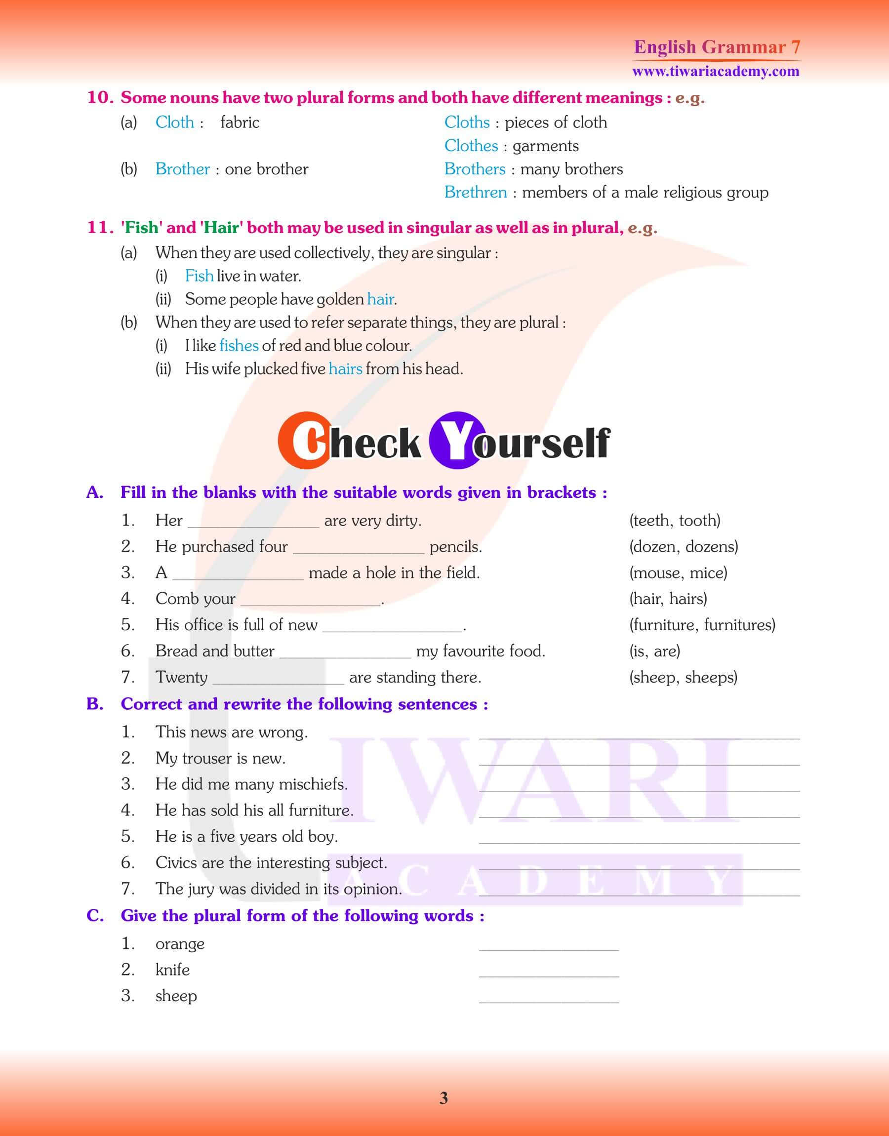 Class 7 English Grammar Chapter 3 Exercises