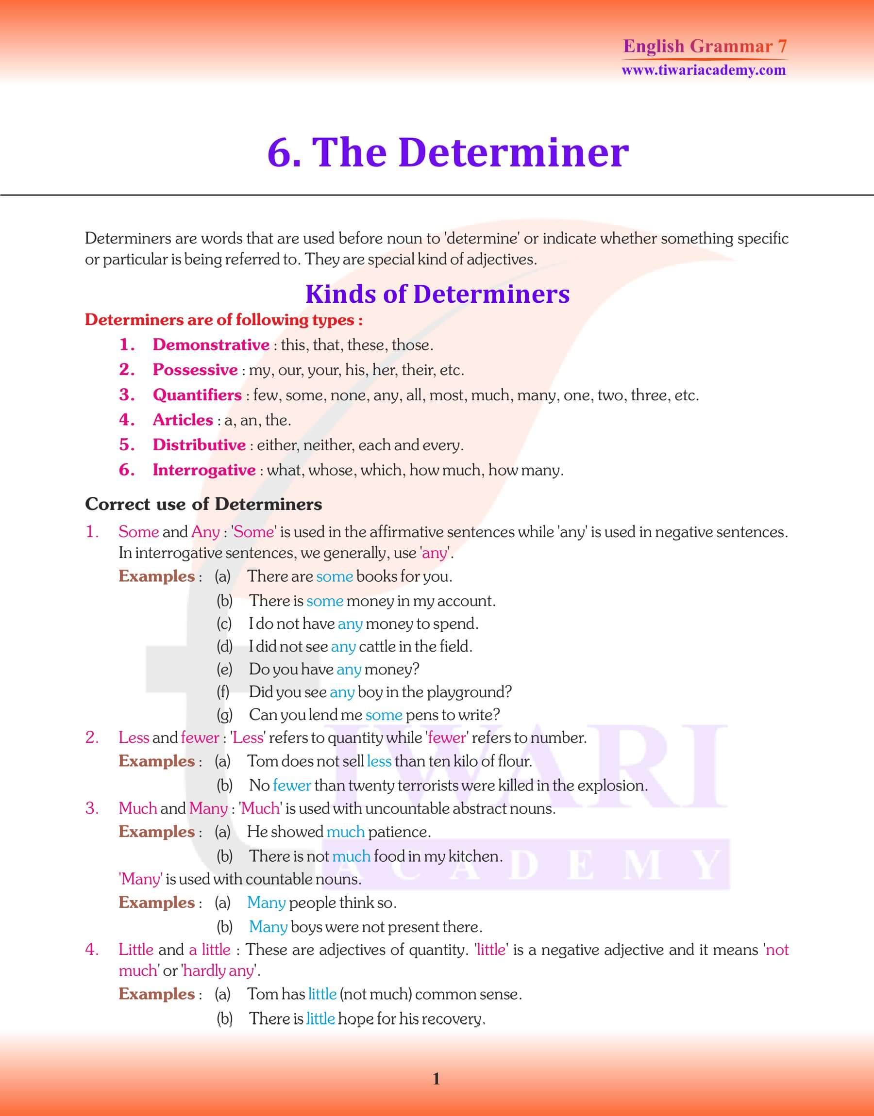 Class 7 English Grammar Chapter 6 Revision book
