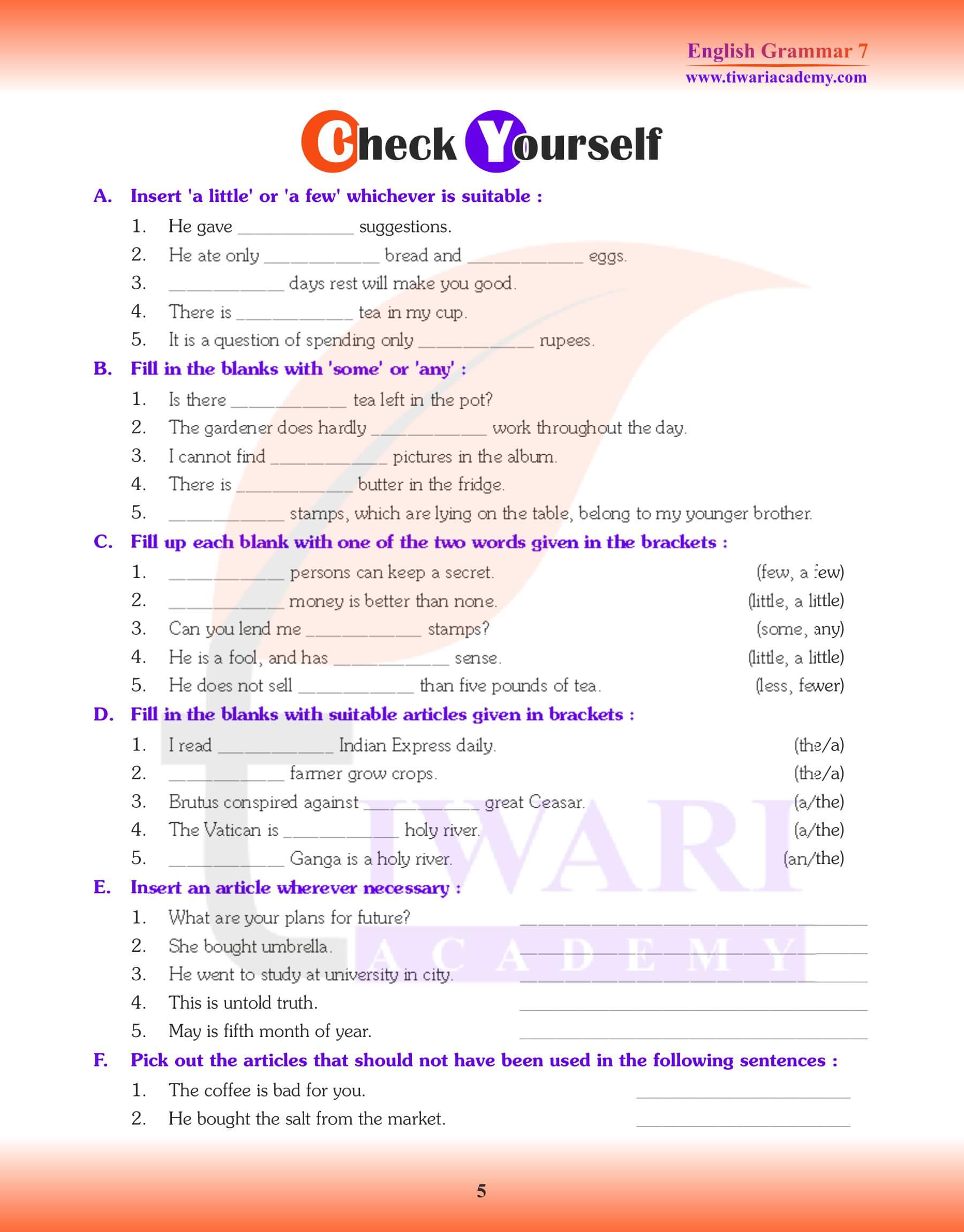 Class 7 English Grammar Chapter 6 study material