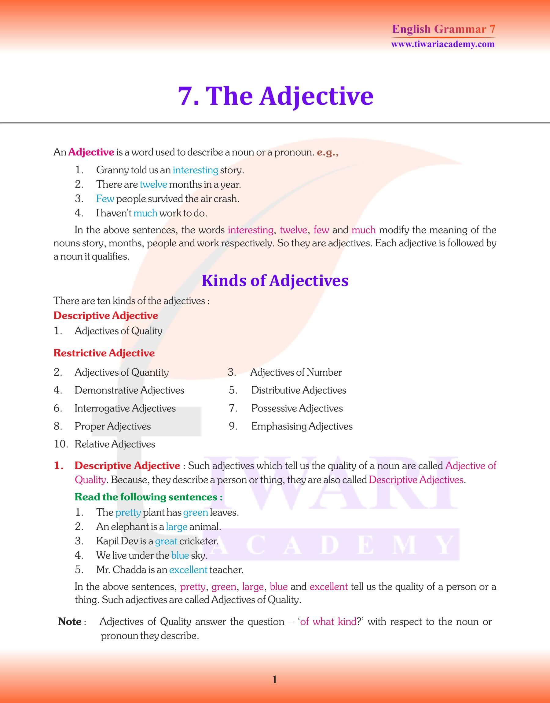 Class 7 English Grammar Chapter 7 Revision
