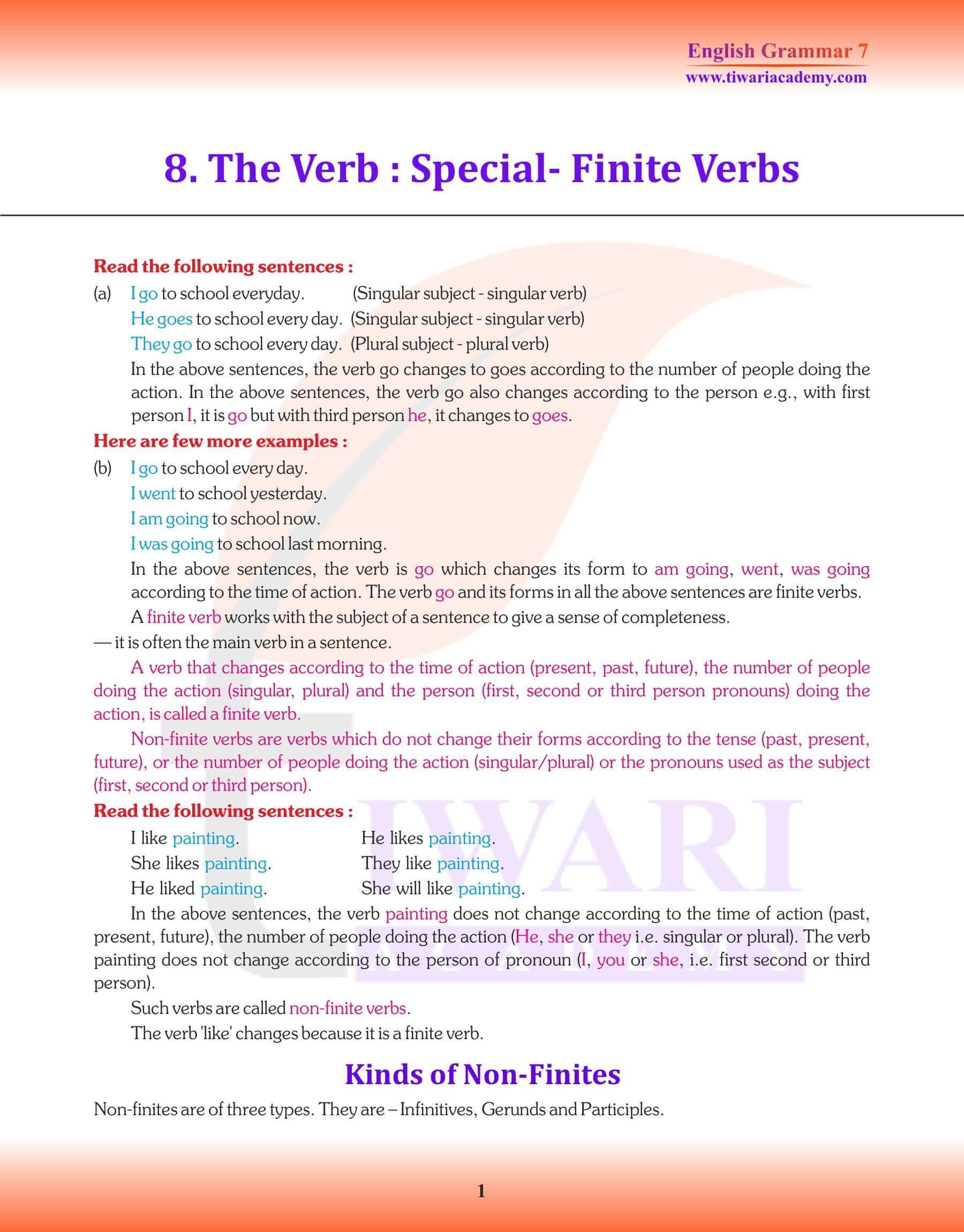 Class 7 Grammar Chapter 8 Revision Book