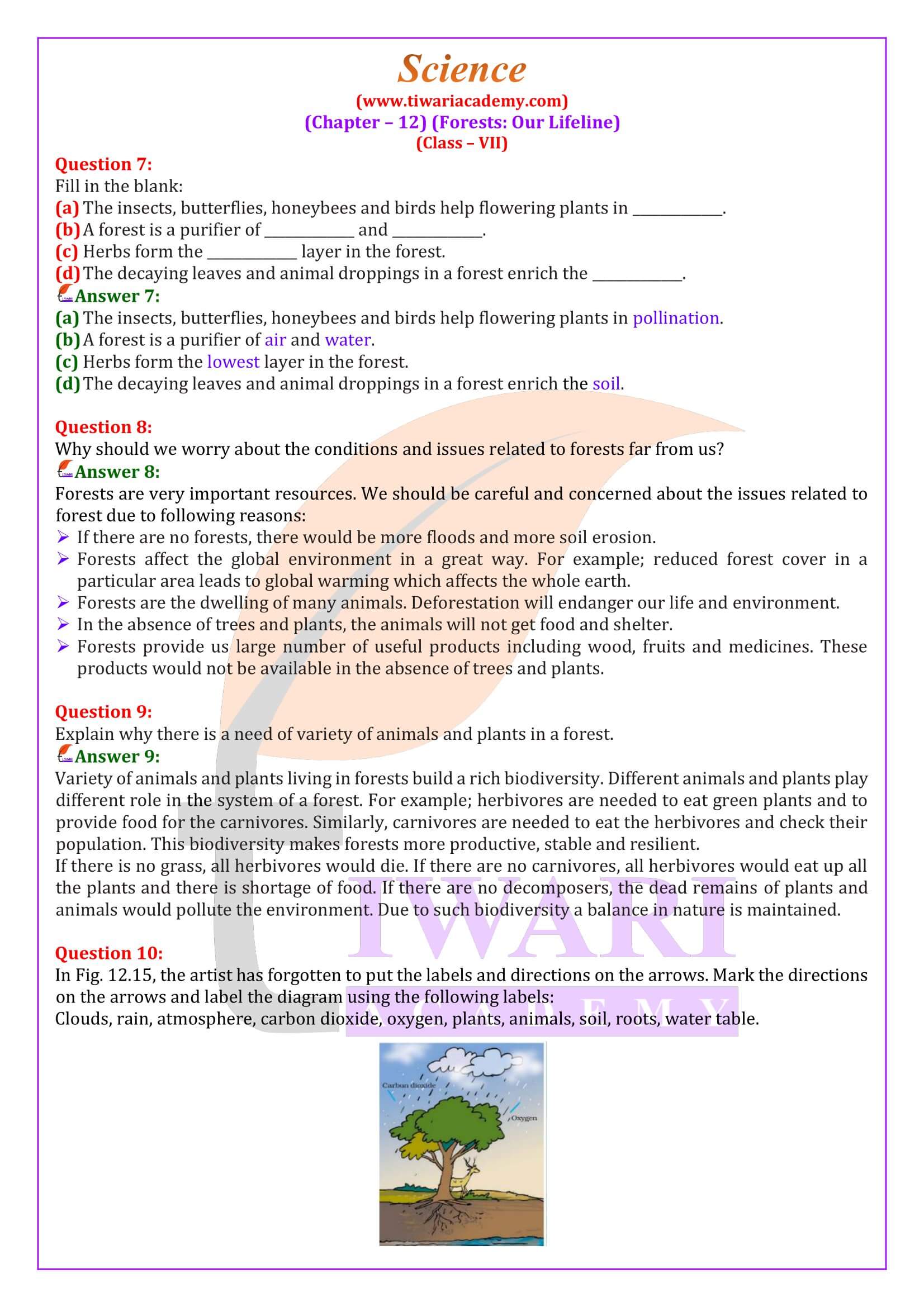 NCERT Solutions for Class 7 Science Chapter 12 for new Session