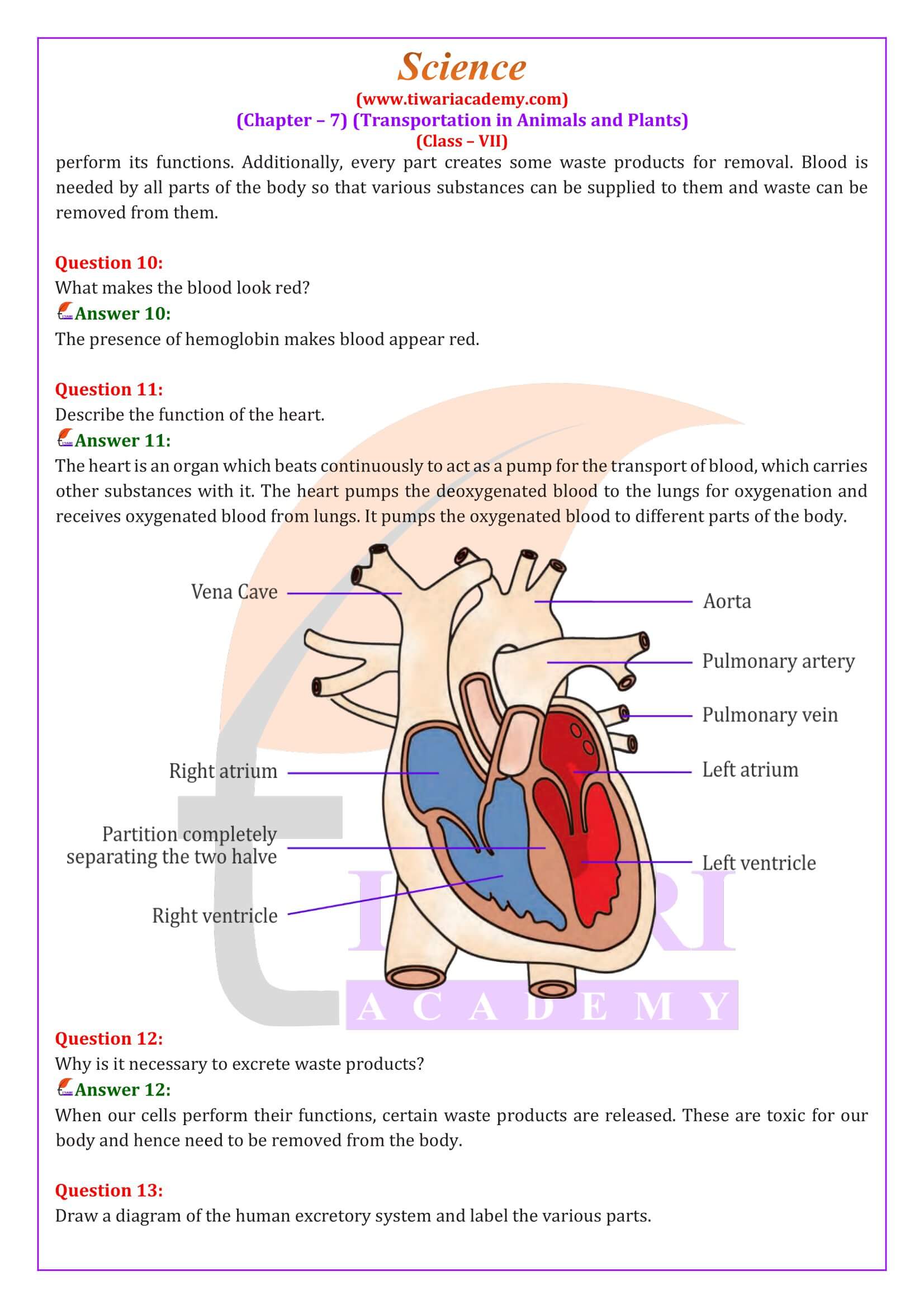 Class 7 Science Chapter 7