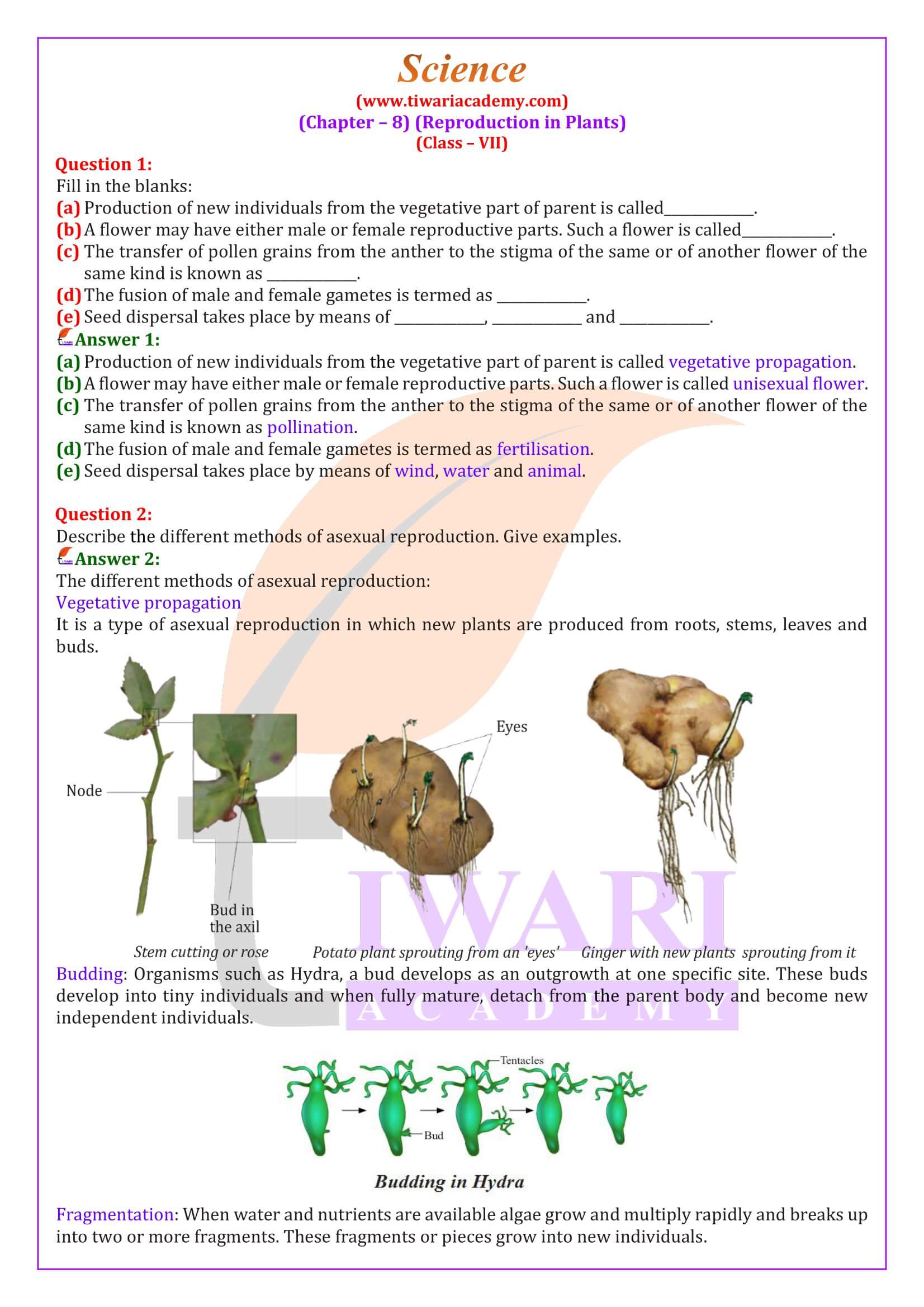 NCERT Solutions for Class 7 Science Chapter 8 in English Medium