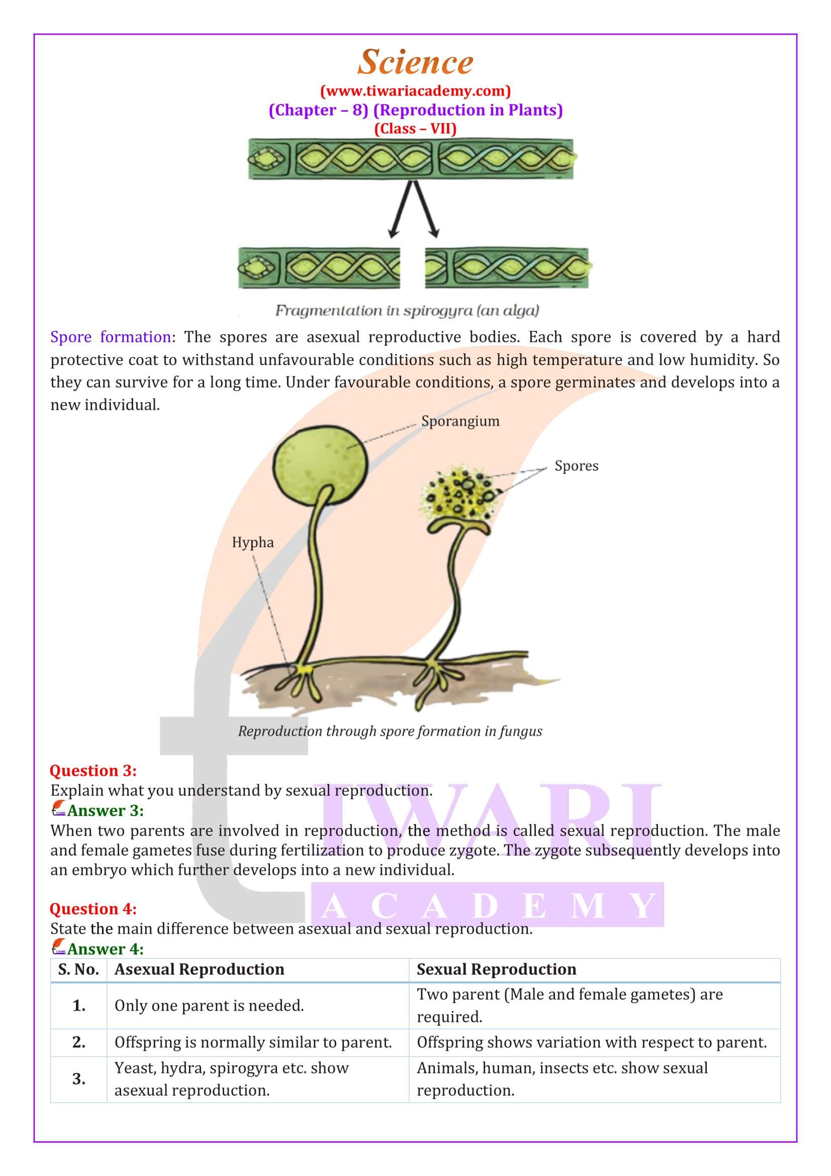 NCERT Solutions for Class 7 Science Chapter 8 updated