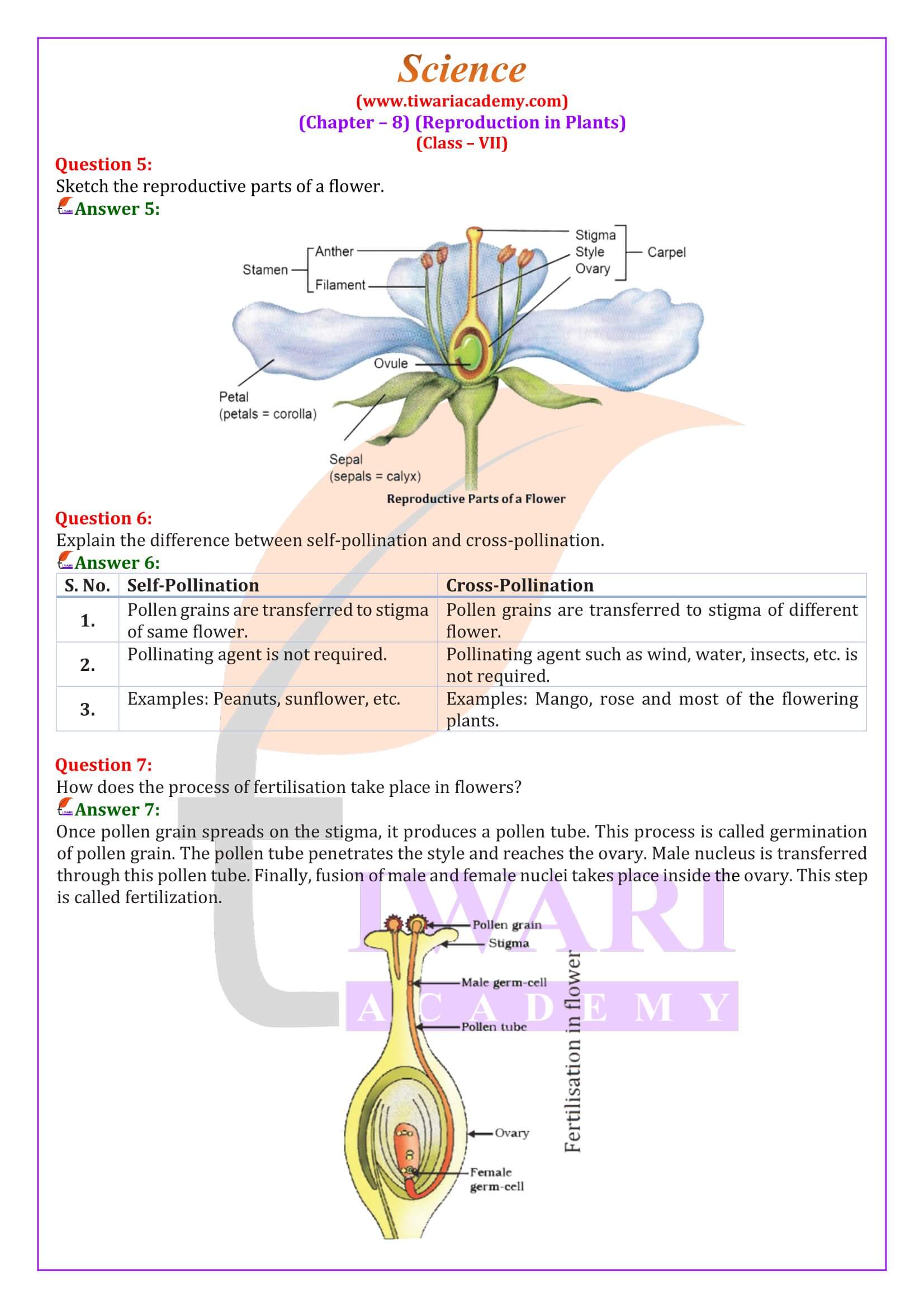 NCERT Solutions for Class 7 Science Chapter 8 Question Answers