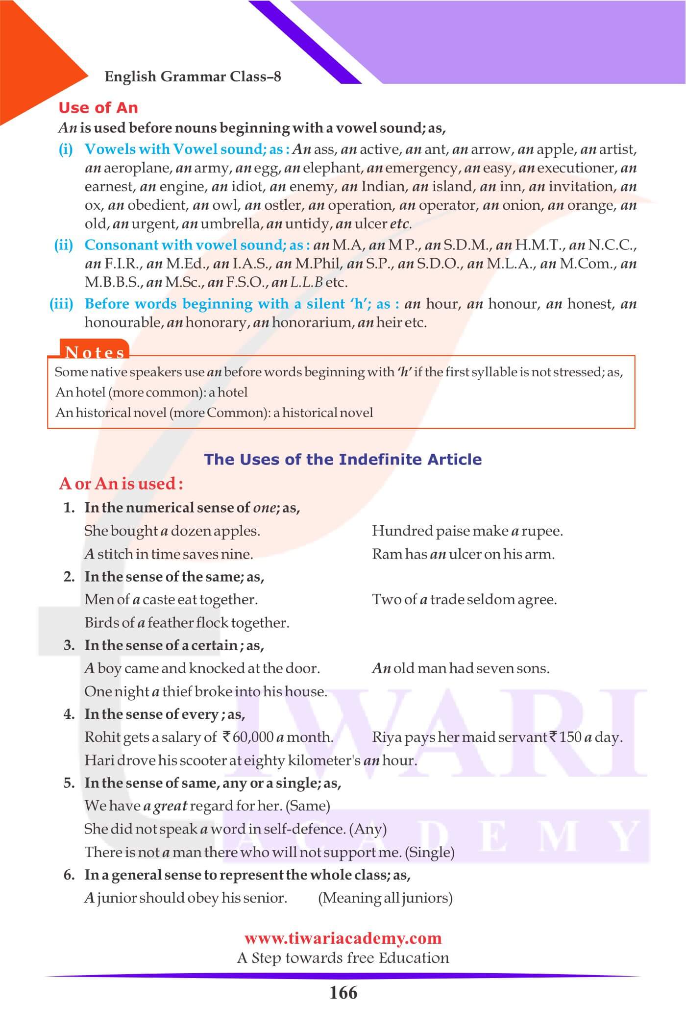 Class 8 English Grammar The Article