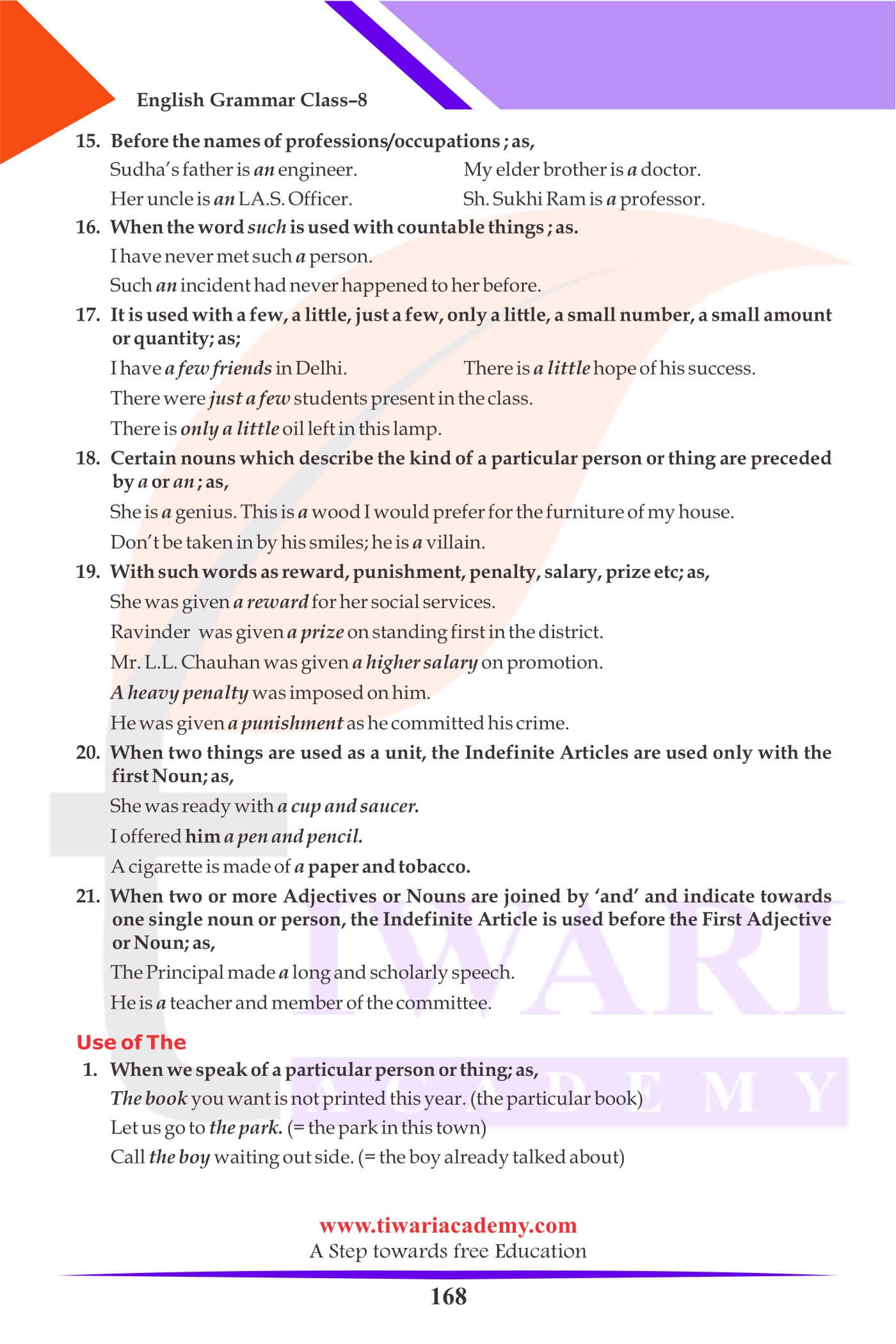 Class 8 English Grammar Kinds of Articles