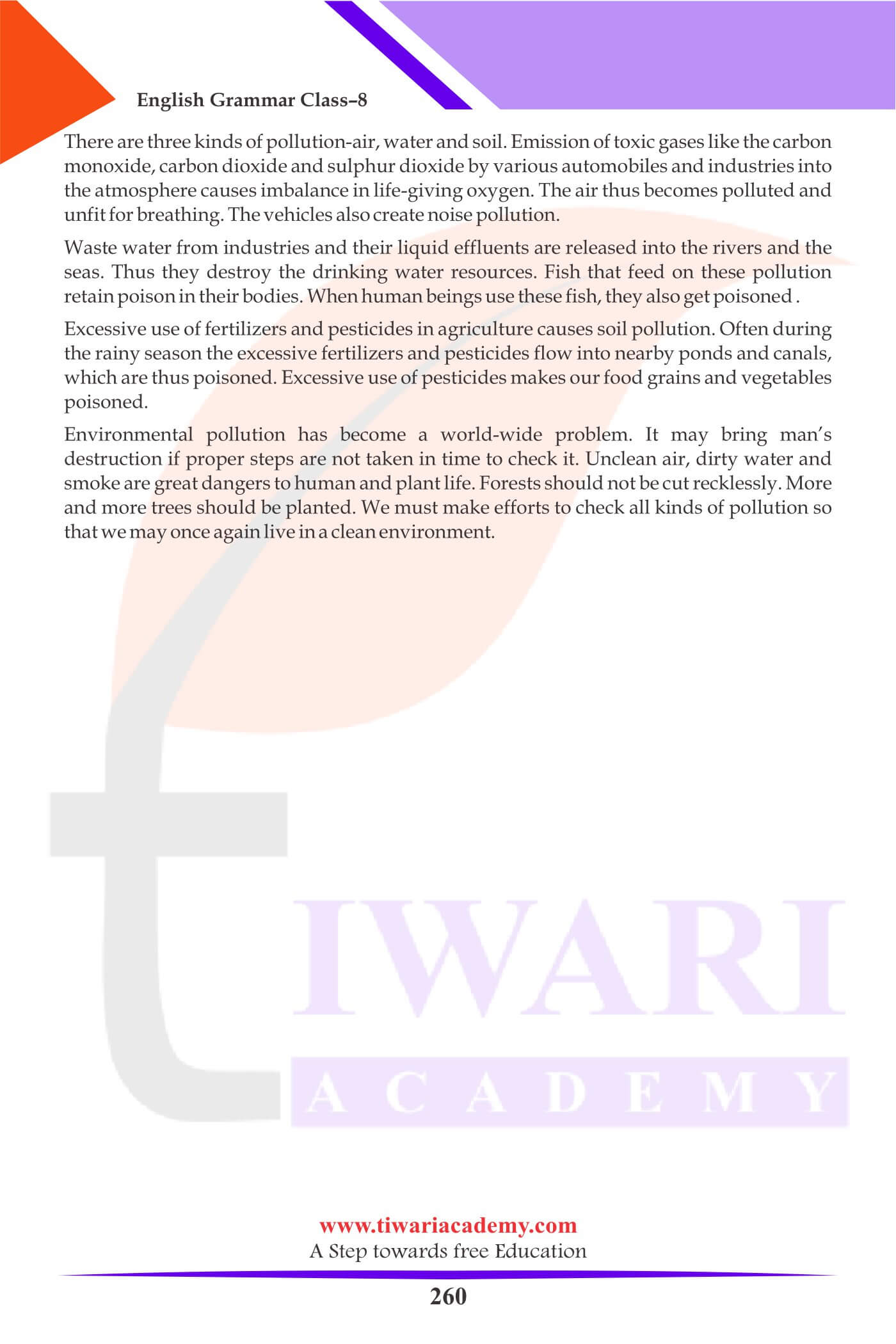 Class 8 English Grammar Essay summary