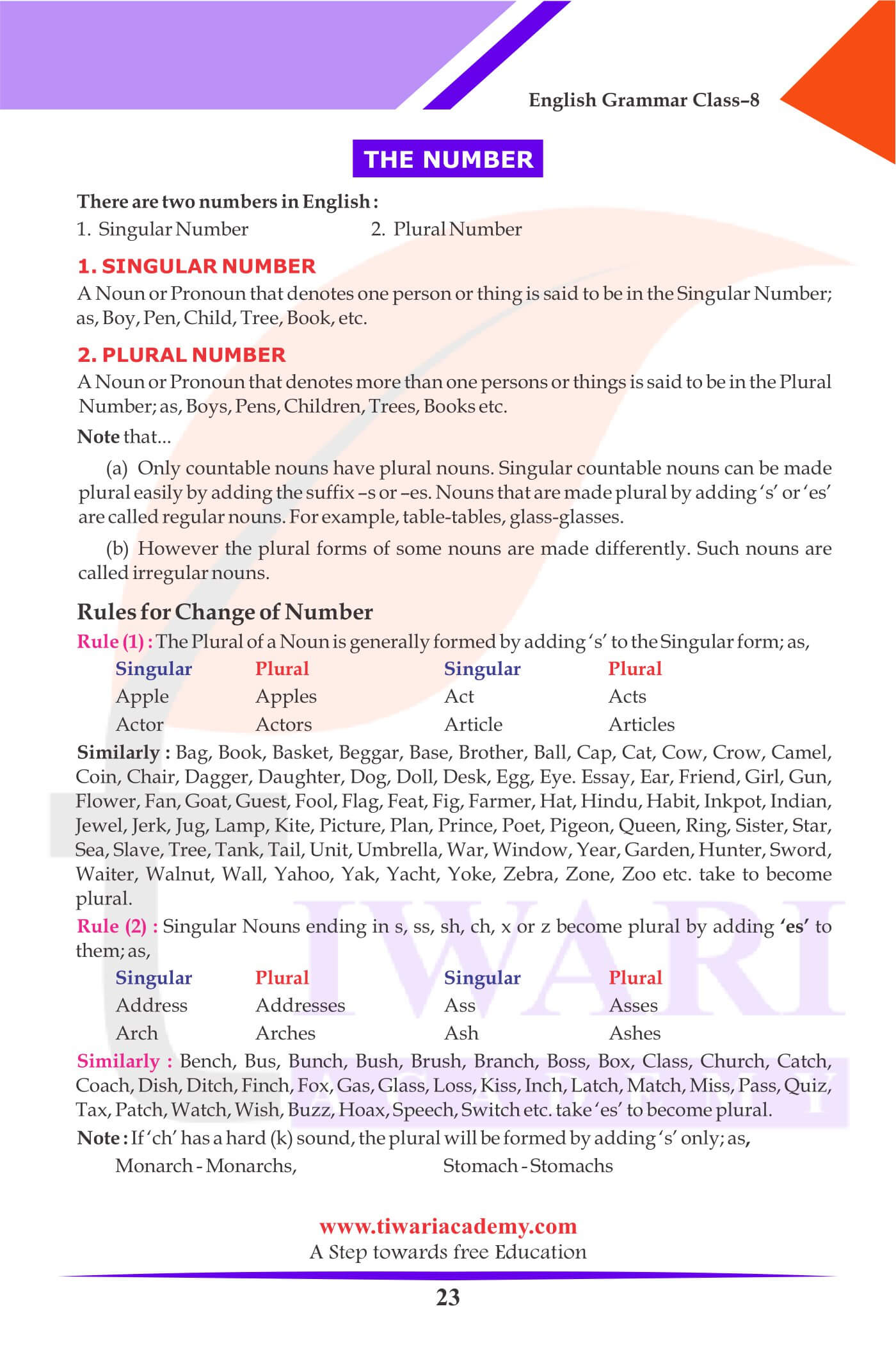 Class 8 English Grammar The Noun classification