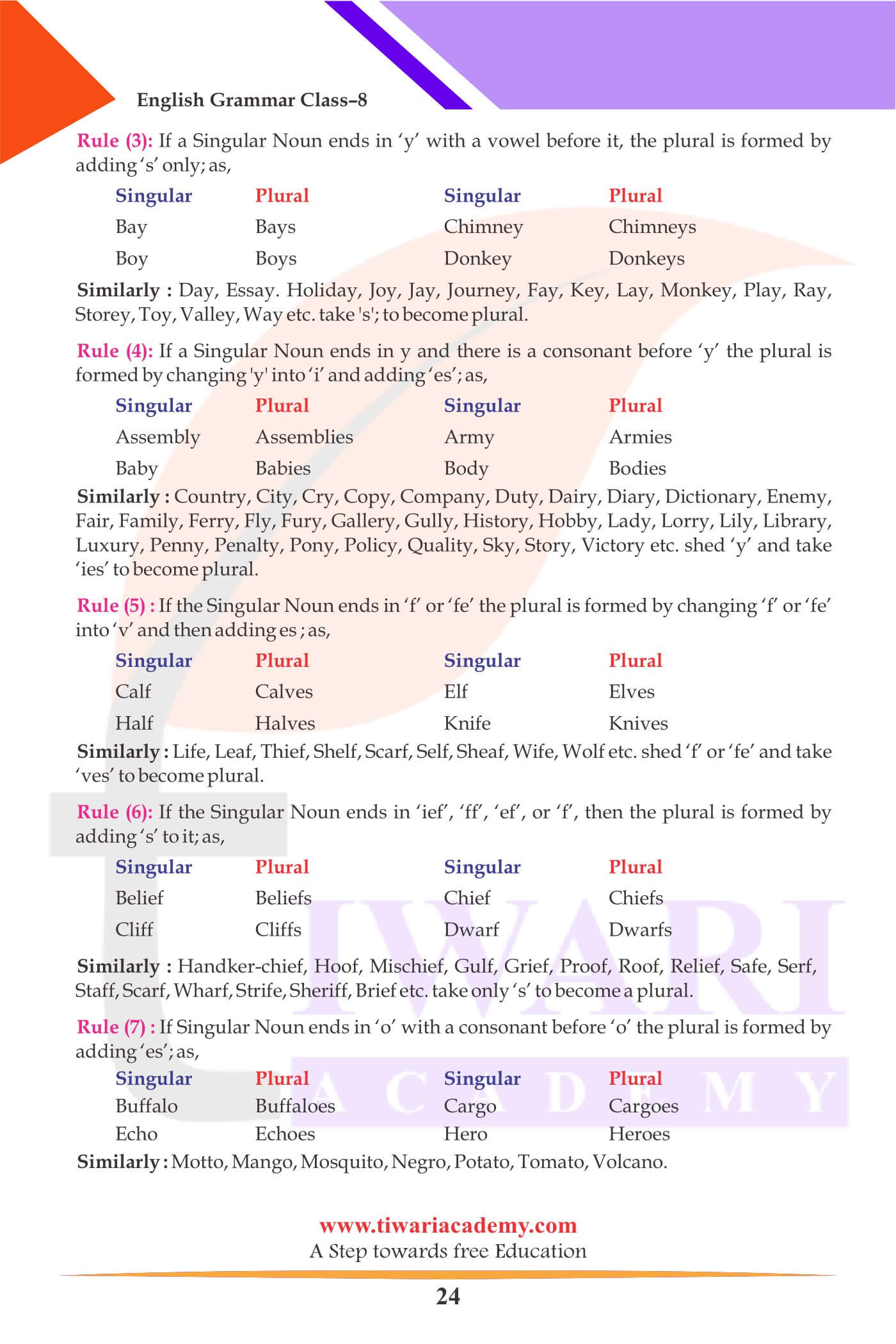 Class 8 English Grammar The Noun explanation