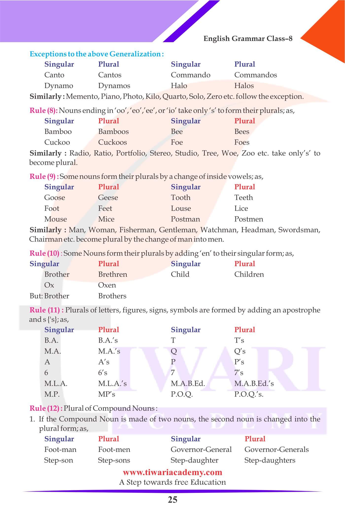 Class 8 English Grammar The Noun definition