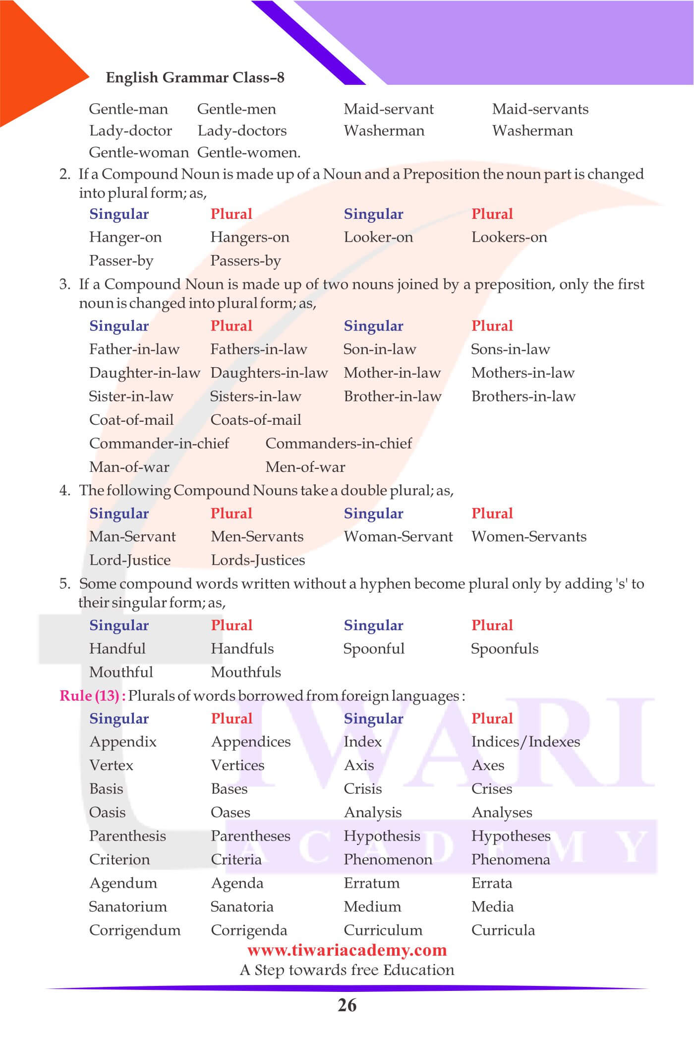 Class 8 English Grammar The Noun Notes