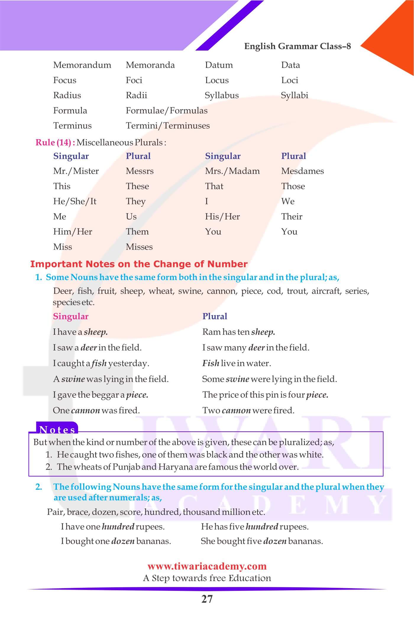 Class 8 English Grammar The Noun worksheets