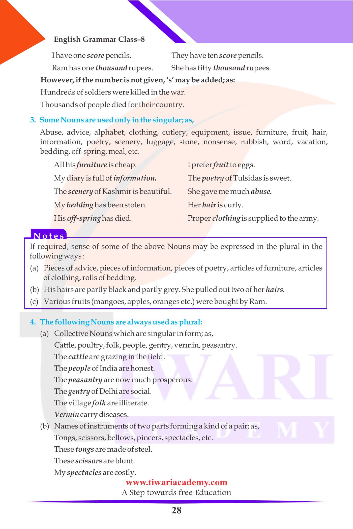 Class 8 English Grammar The Noun assignments