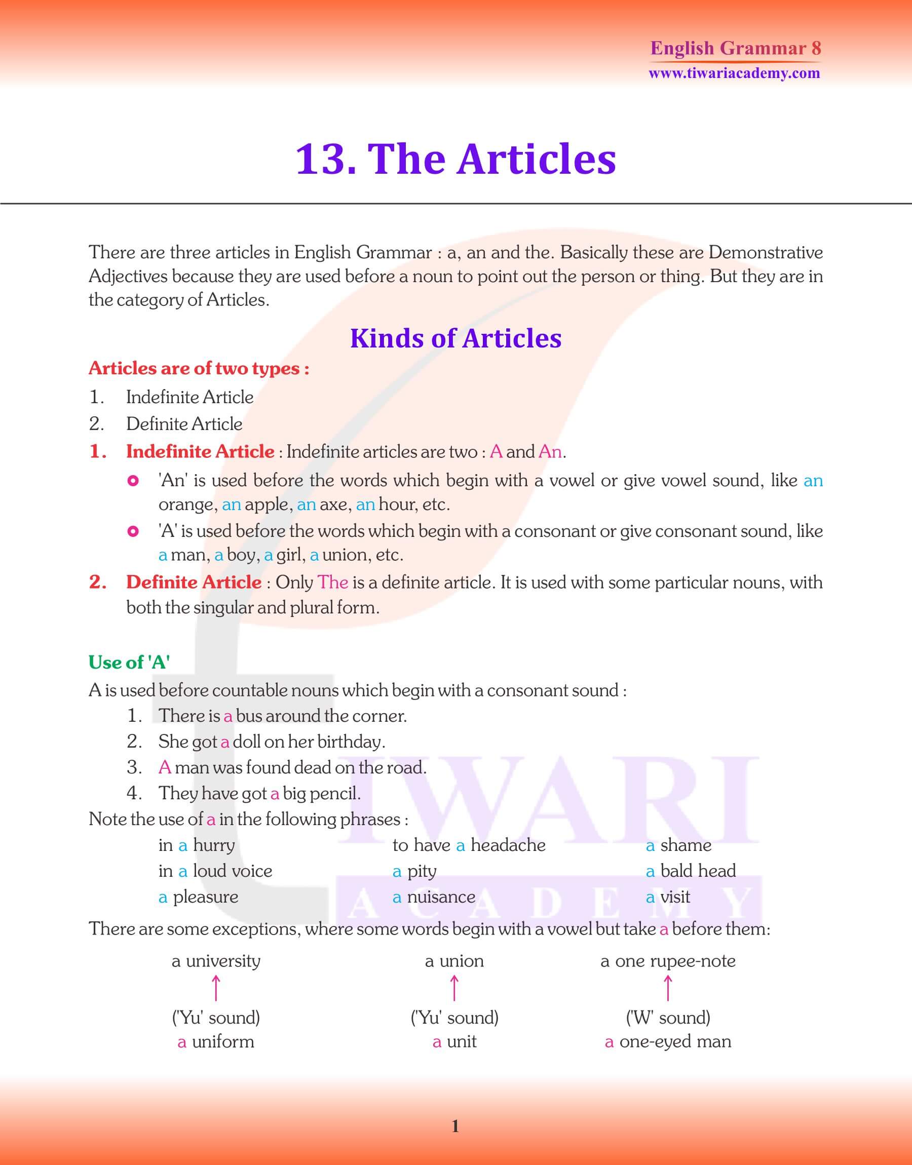 Class 8 English Grammar Articles Revision Book