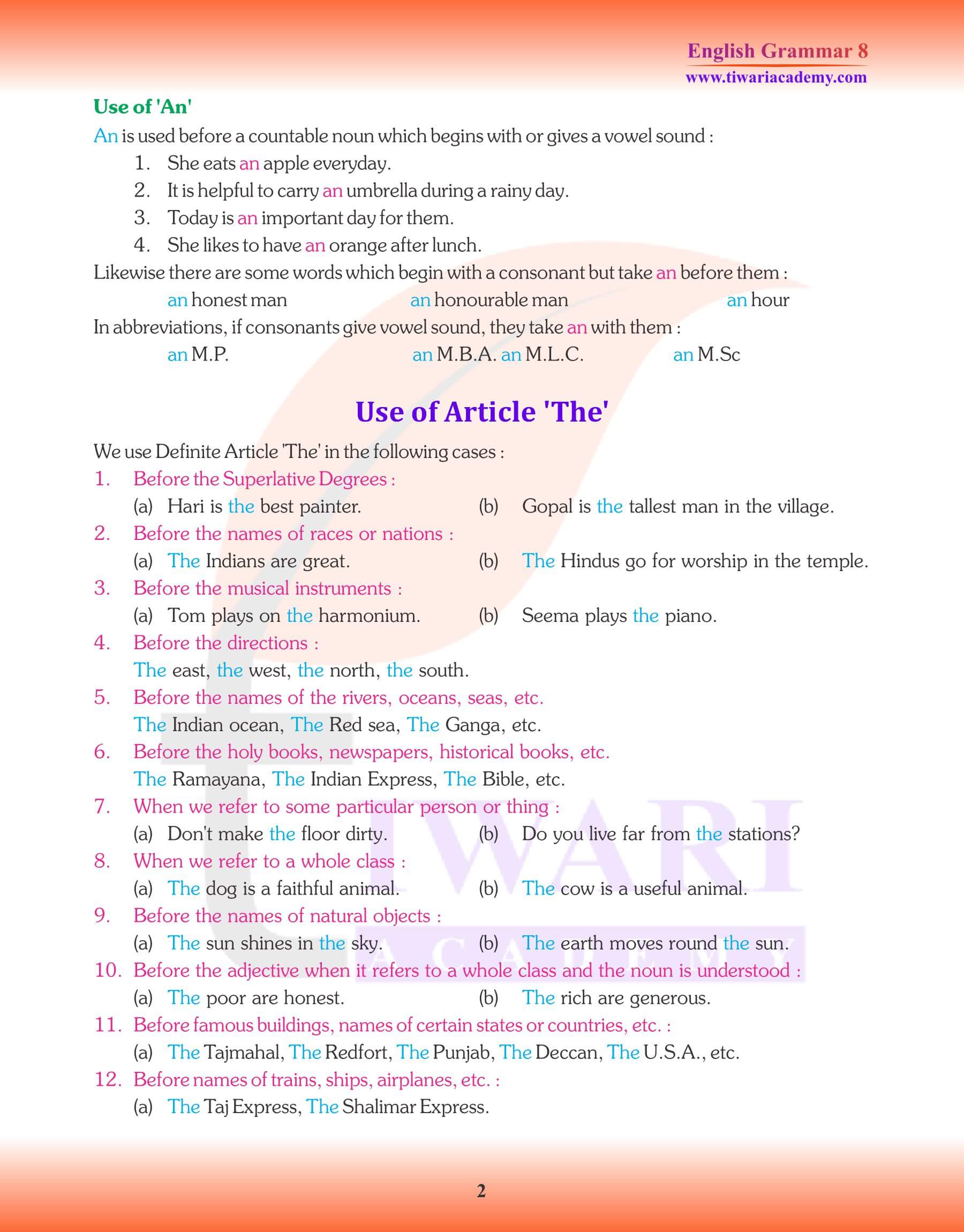 Class 8 English Grammar Articles Notes