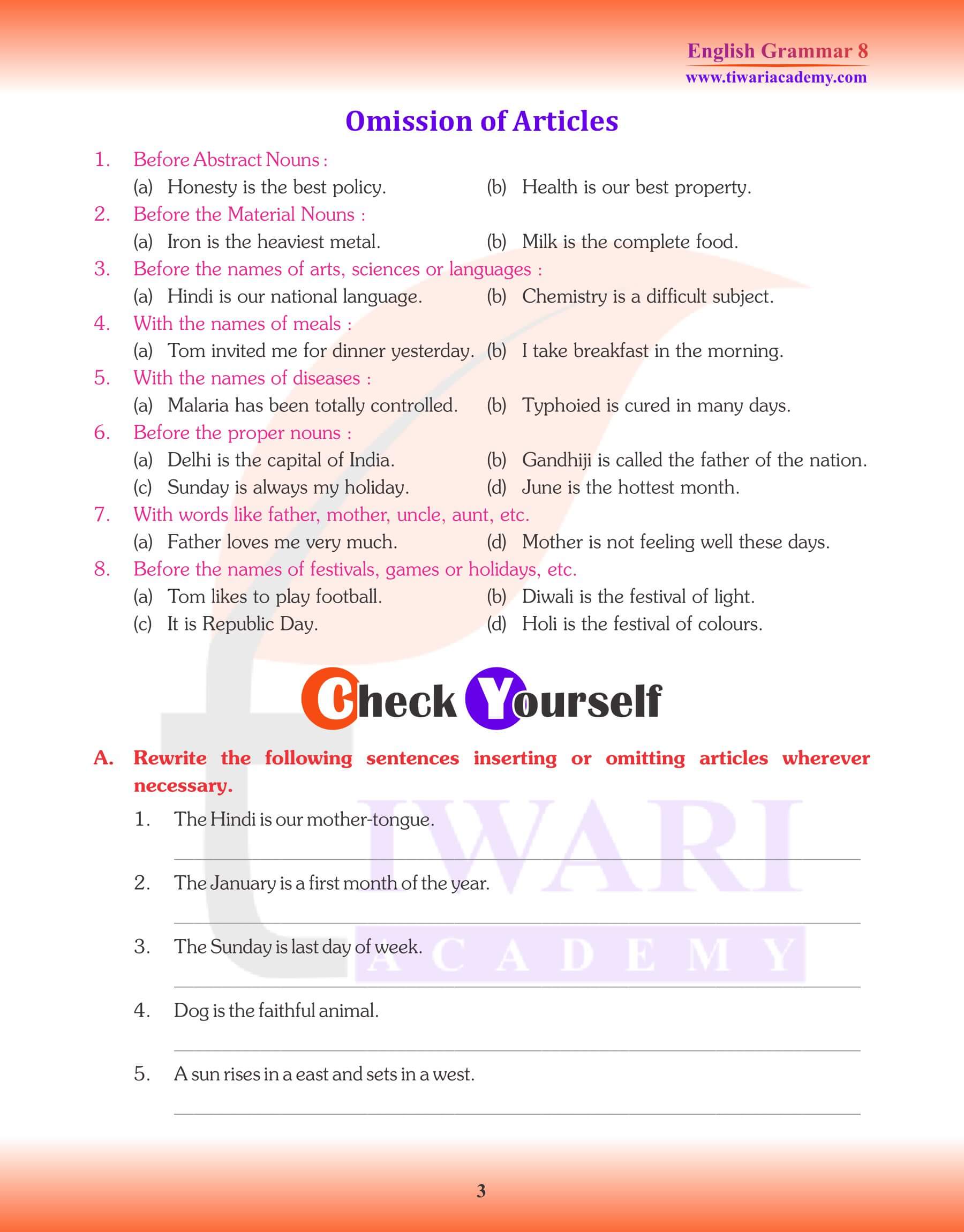 Class 8 English Grammar Articles Question Answers