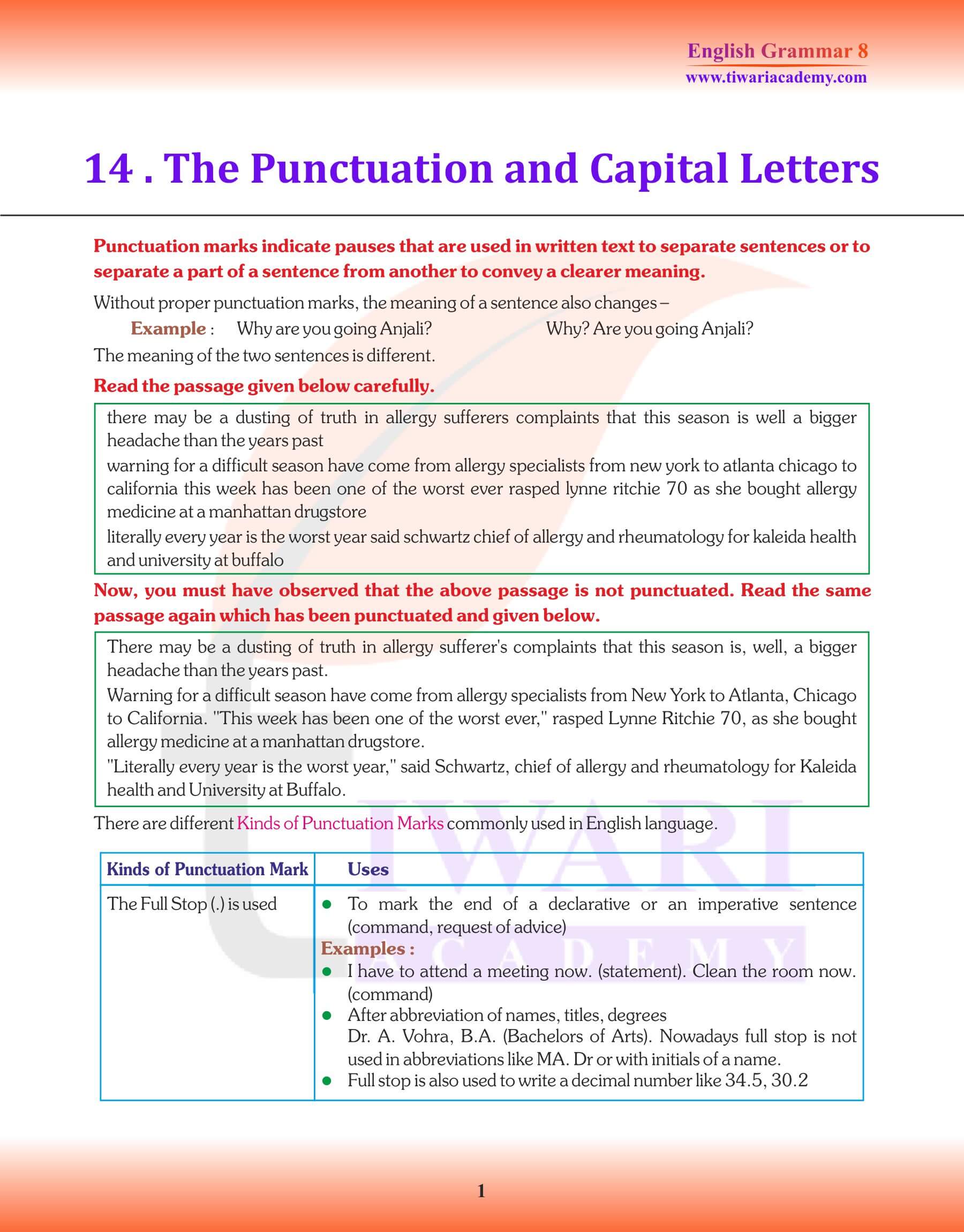 Class 8 English Grammar Punctuation Revision book