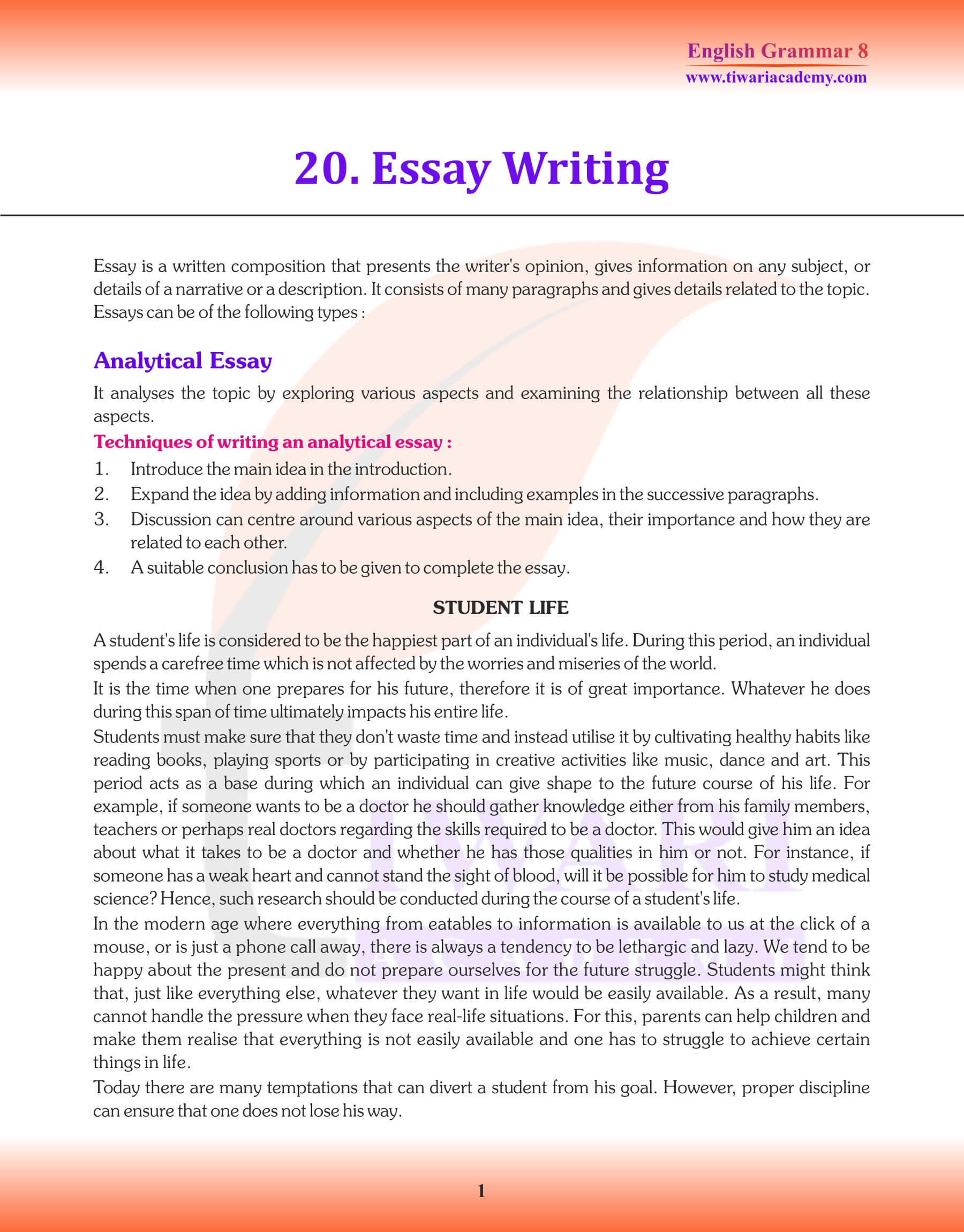 Class 8 English Grammar Essay Revision Book