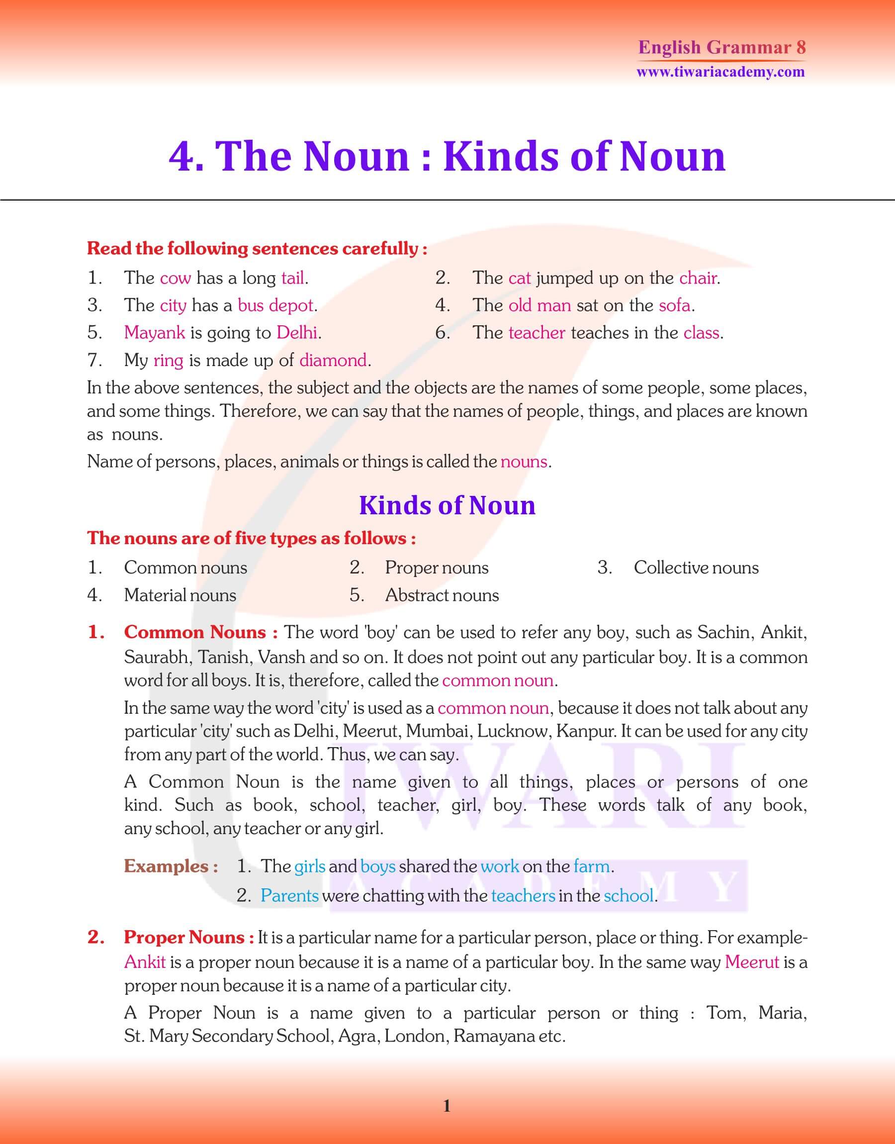 Class 8 English Grammar Chapter 4 The Noun Revision book