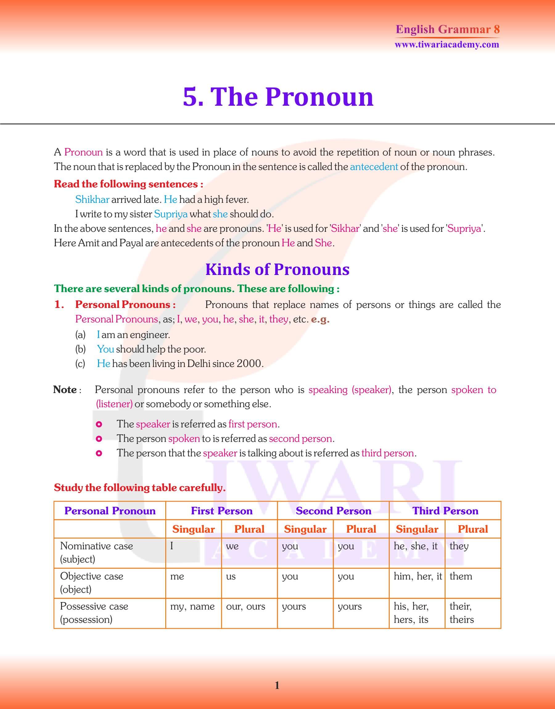 Class 8 English Grammar: Pronoun