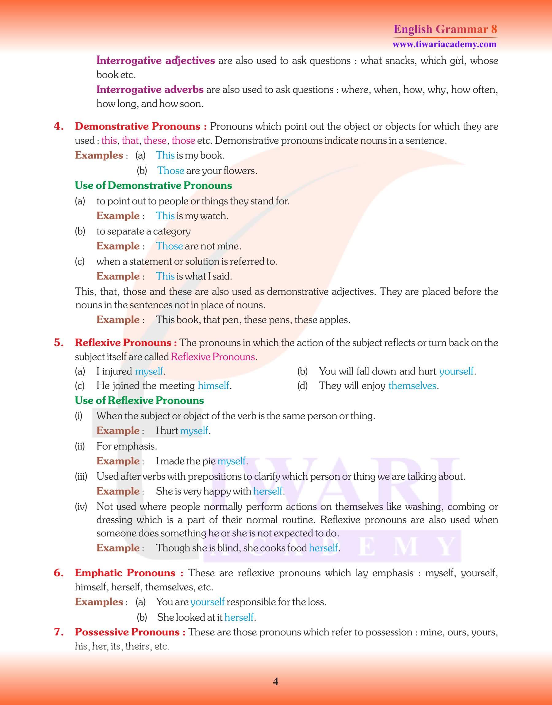 Class 8 English Grammar: Pronoun classification