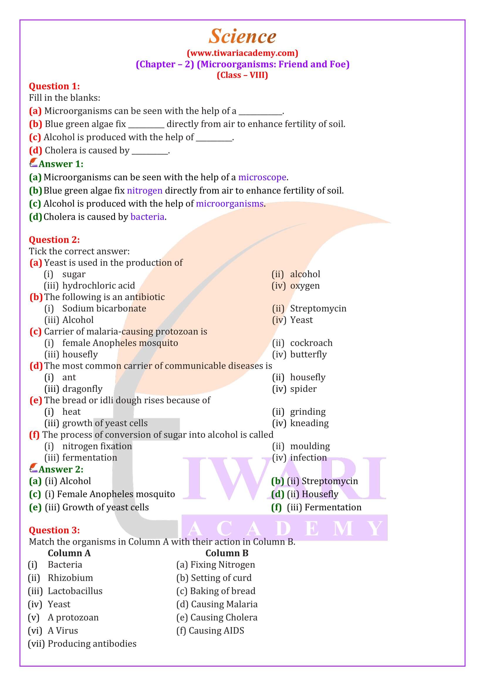 science assignment topics for class 8