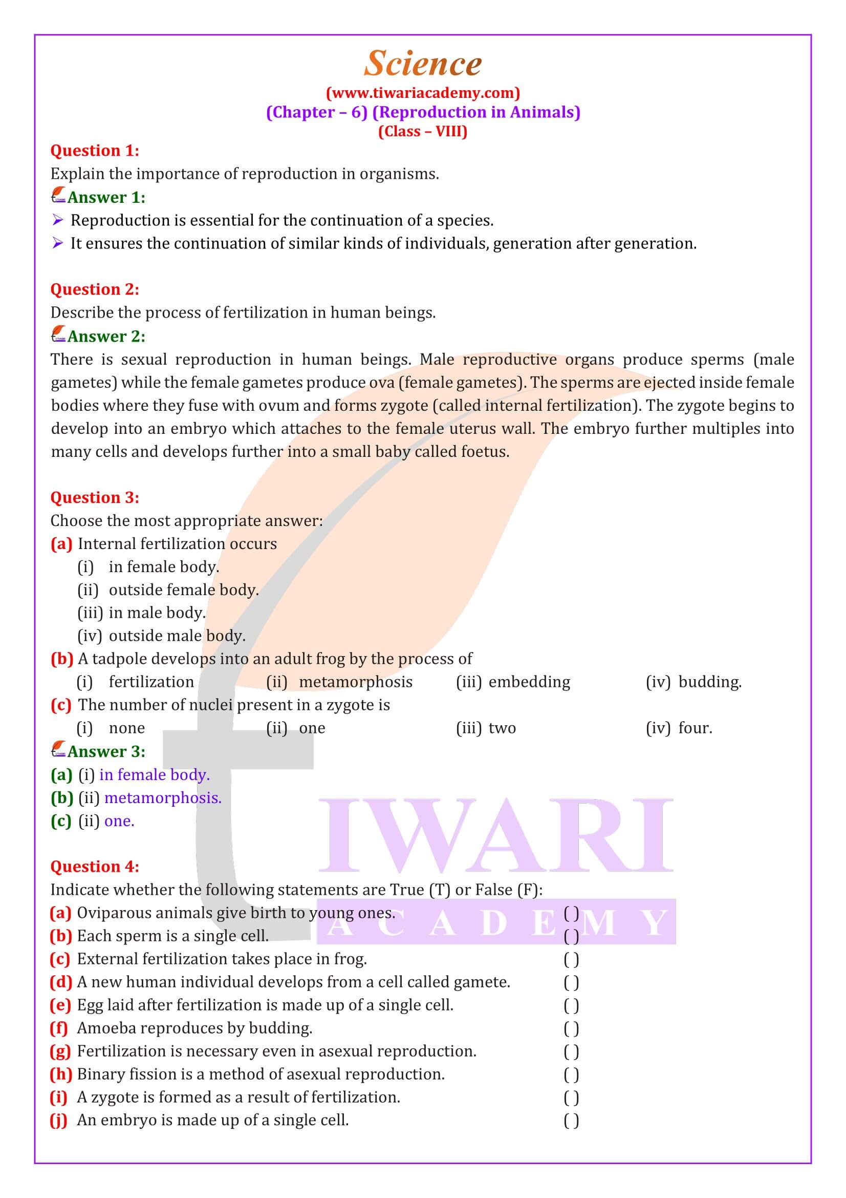 NCERT Solutions for Class 8 Science Chapter 6