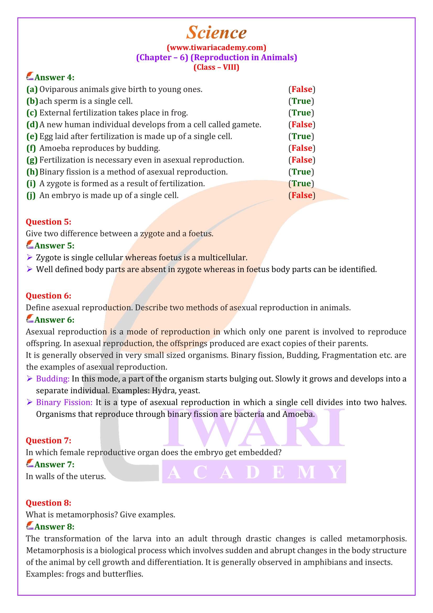 NCERT Solutions for Class 8 Science Chapter 6 Question Answers