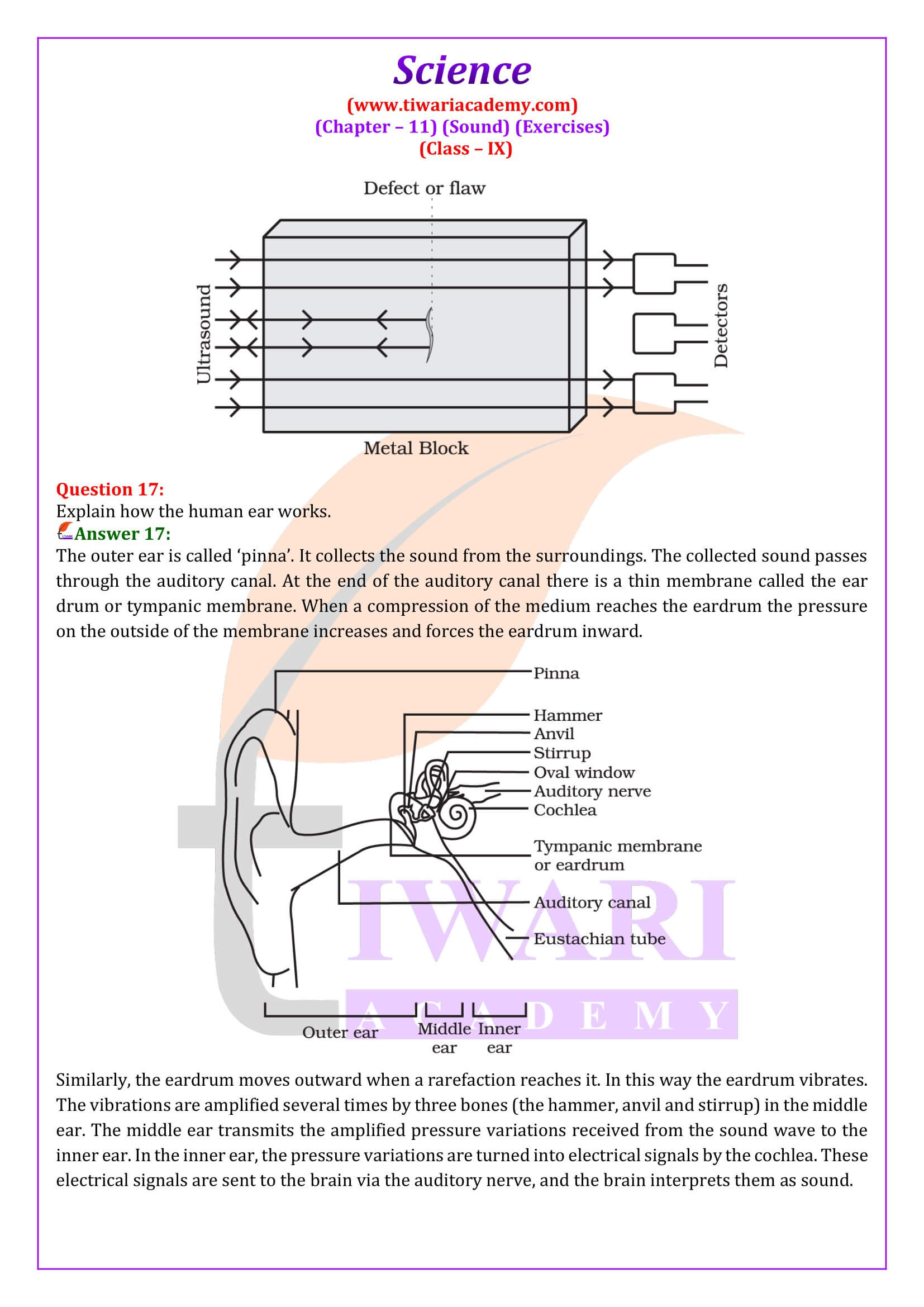 NCERT Solutions for Class 9 Science Chapter 11 Question Answers