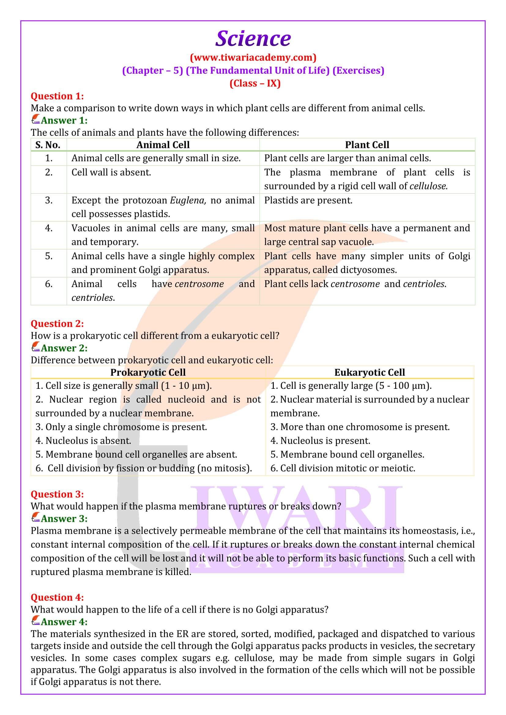 Class 9 Science Chapter 5 The fundamental unit of life