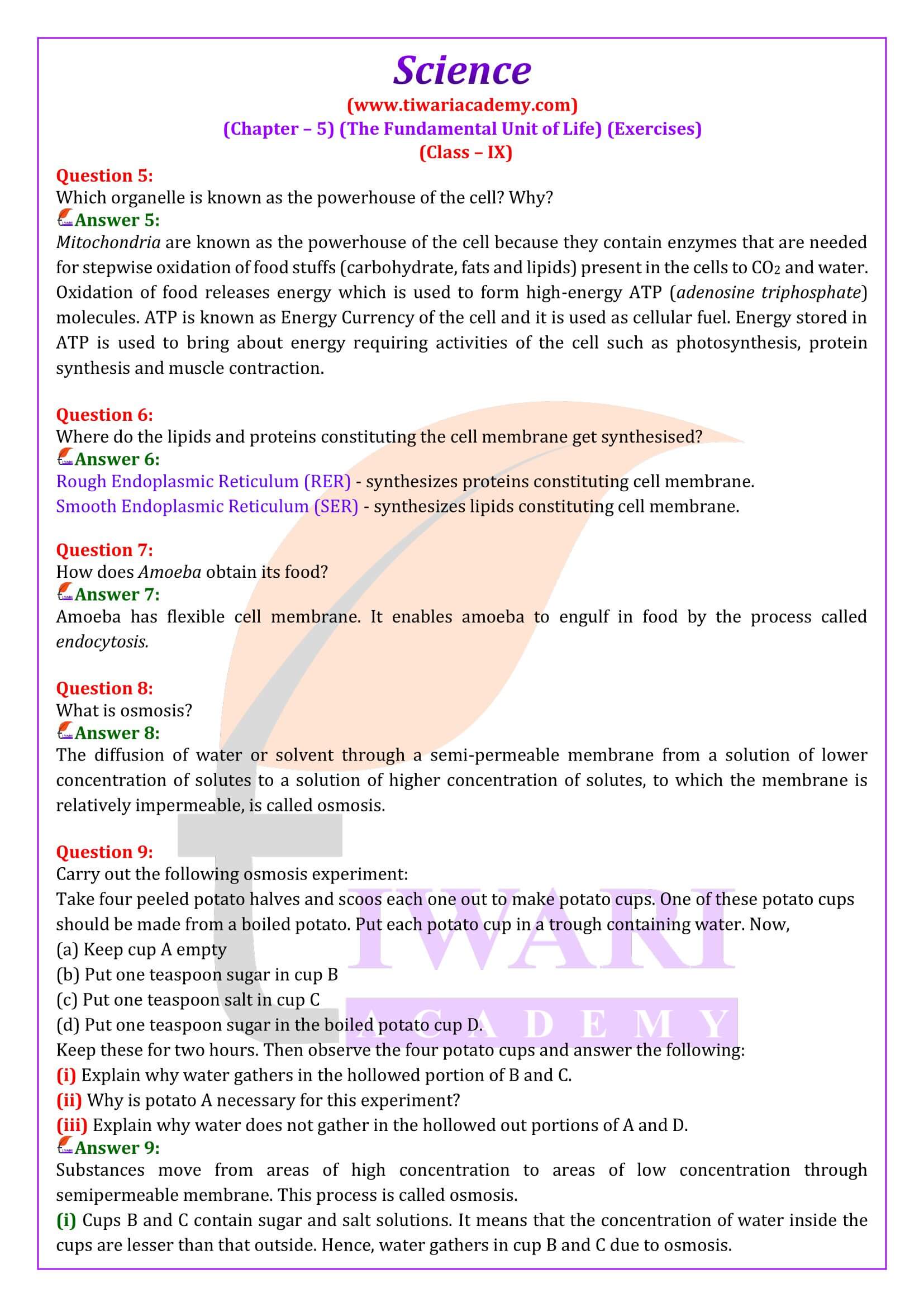 NCERT Solutions for Class 9 Science Chapter 5