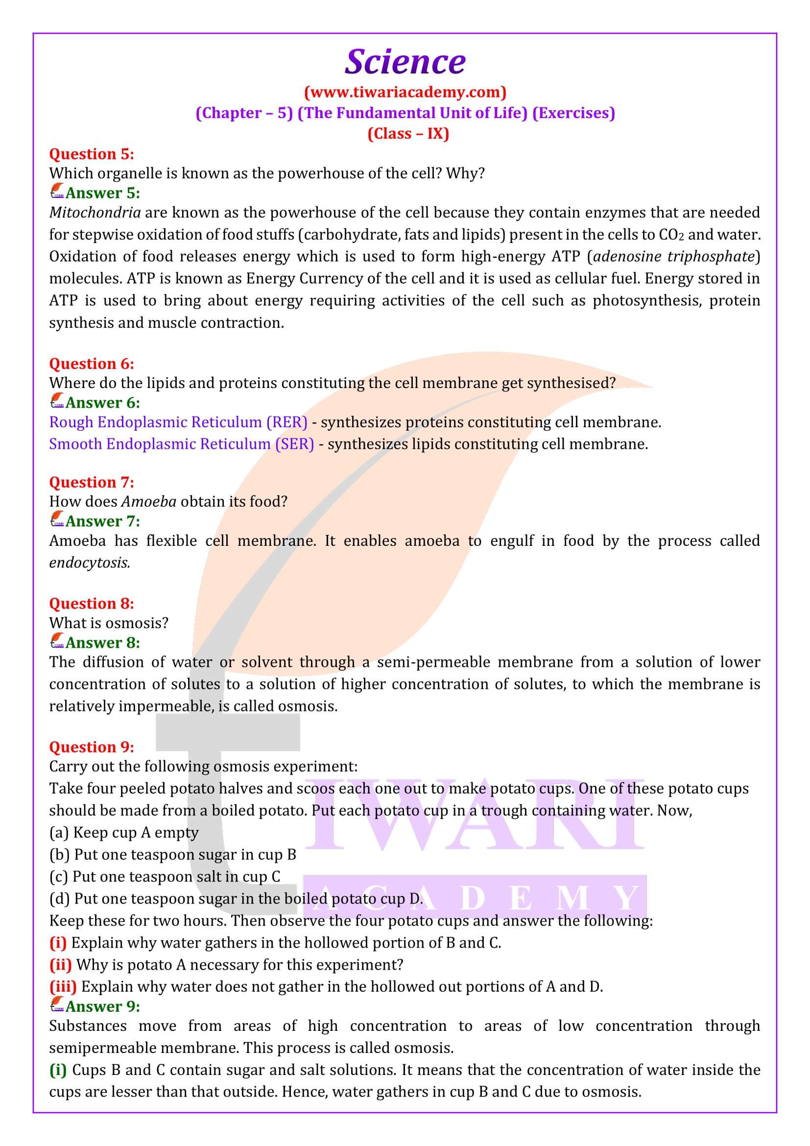 class 9 science chapter 5 assamese question answer