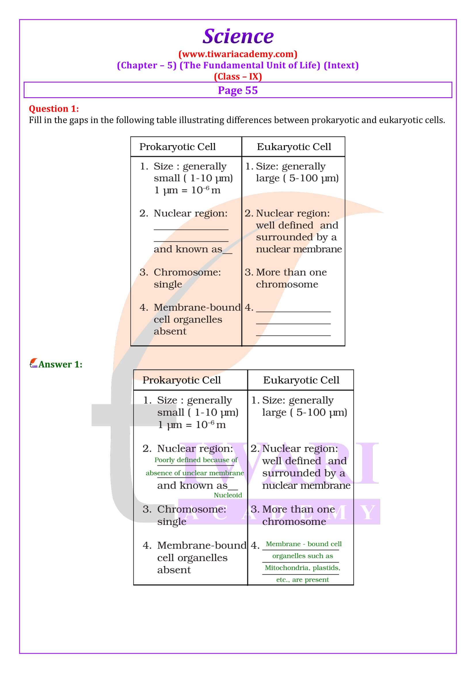 Class 9 Science Chapter 5