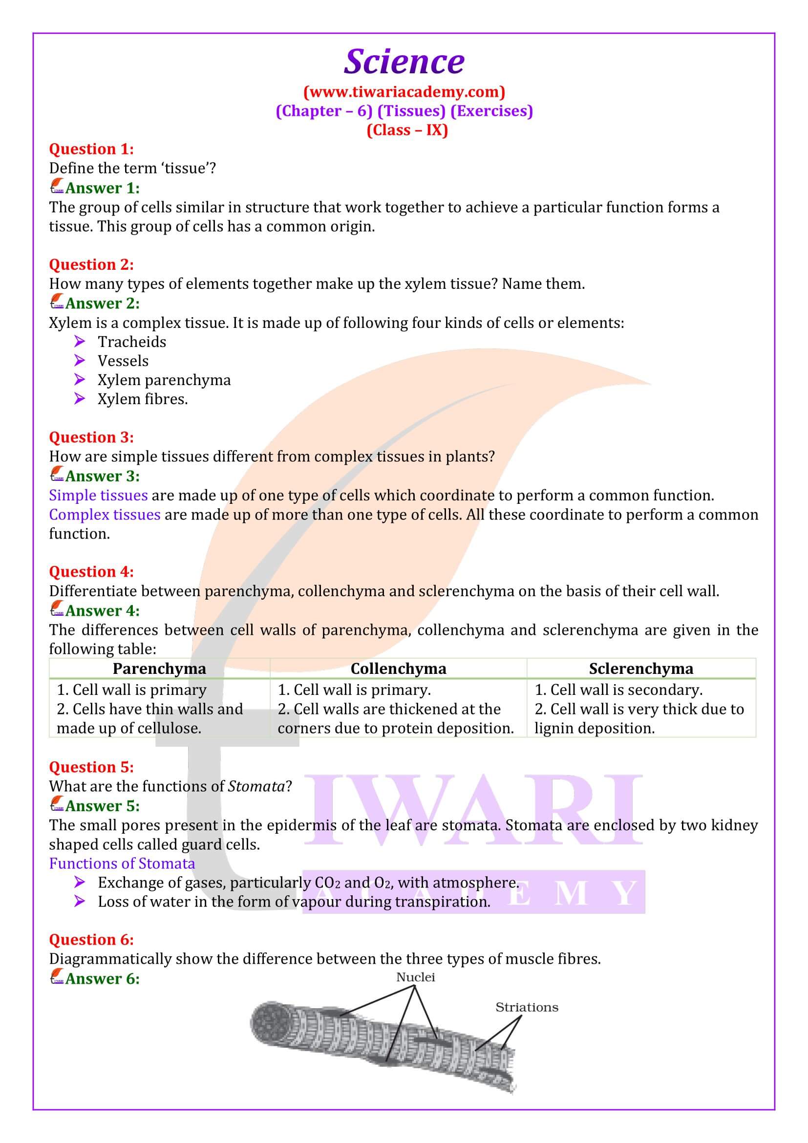 Class 9 Science Chapter 6 Tissues