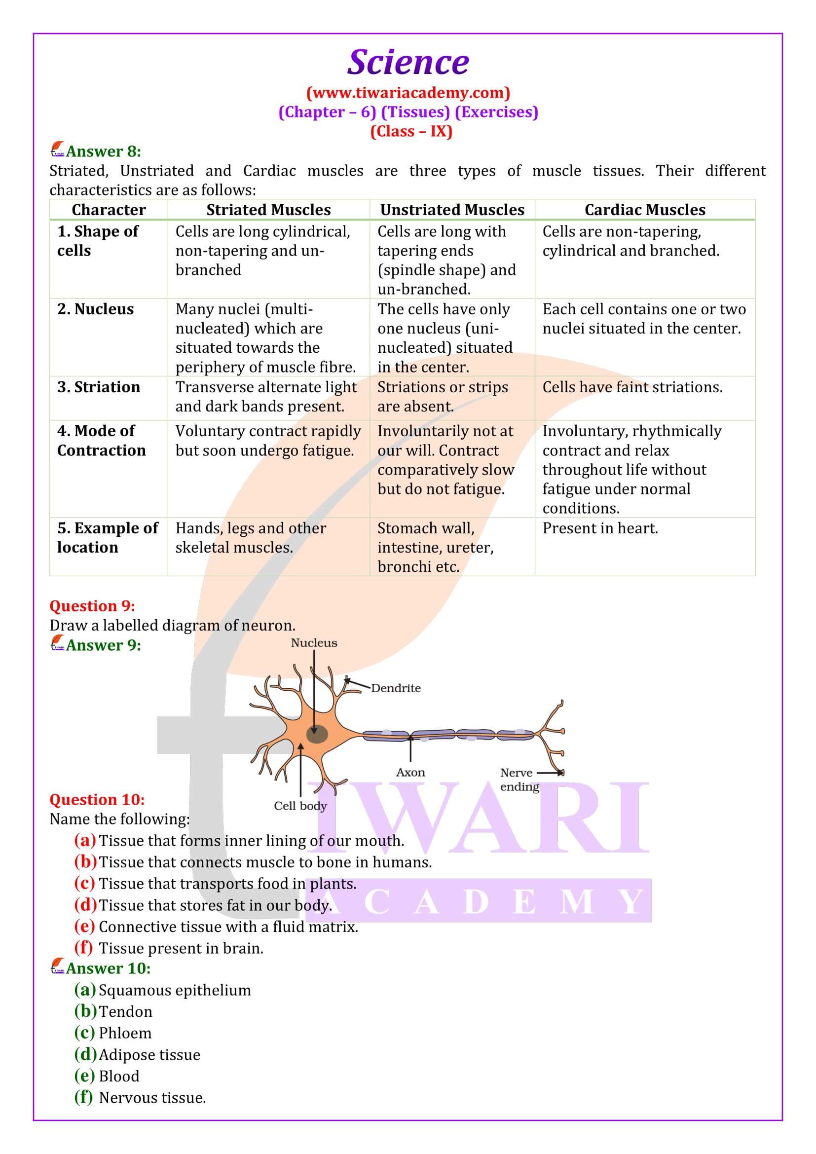 NCERT Solutions for Class 9 Science Chapter 6 Question Answers