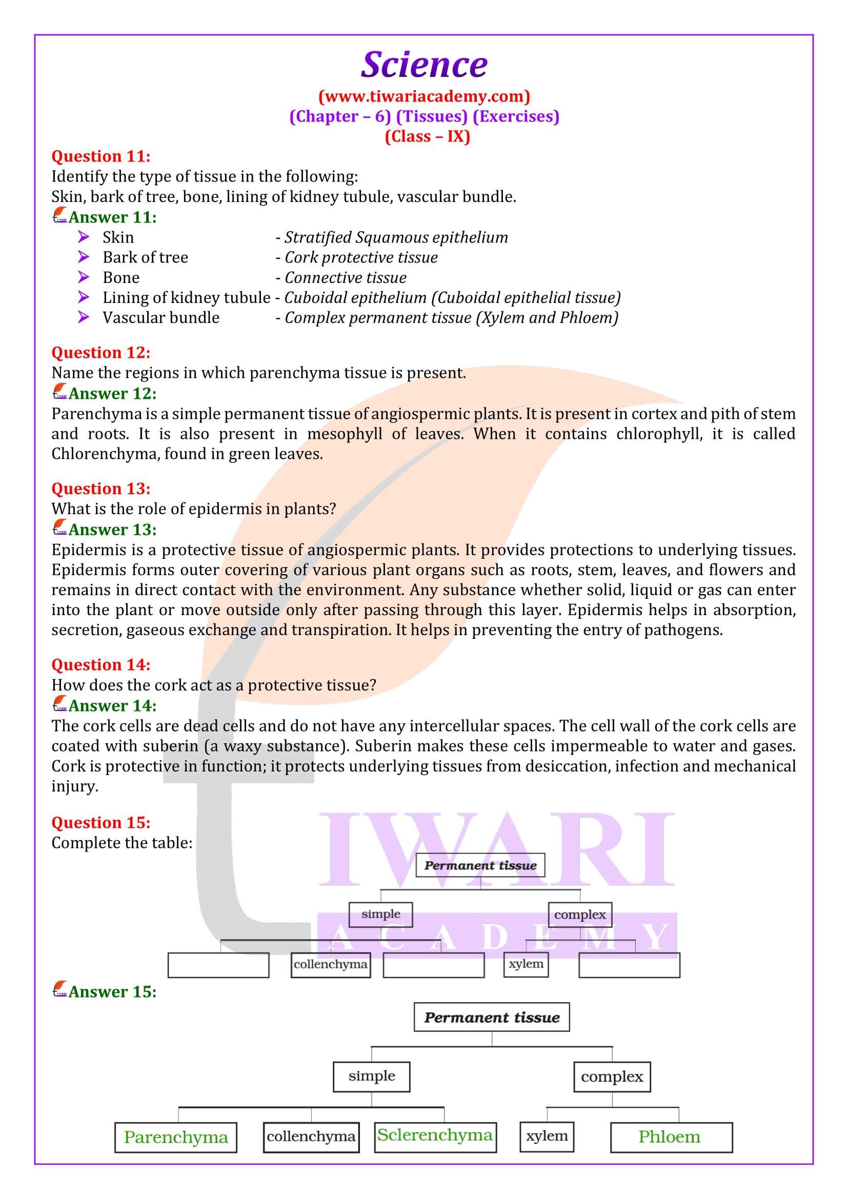 Class 9 Science Chapter 6