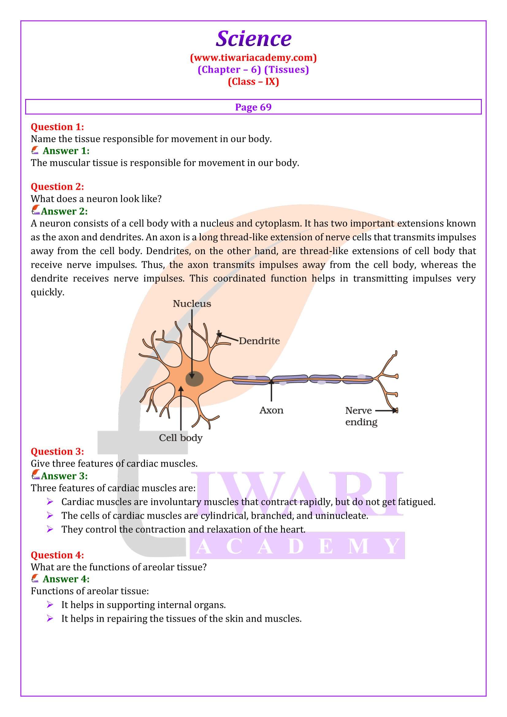 Class 9 Science Chapter 6 Intext Answers