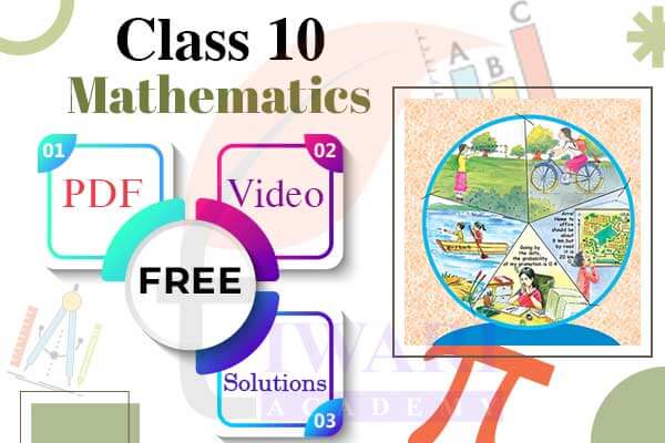 Class 10 Maths updated solutions