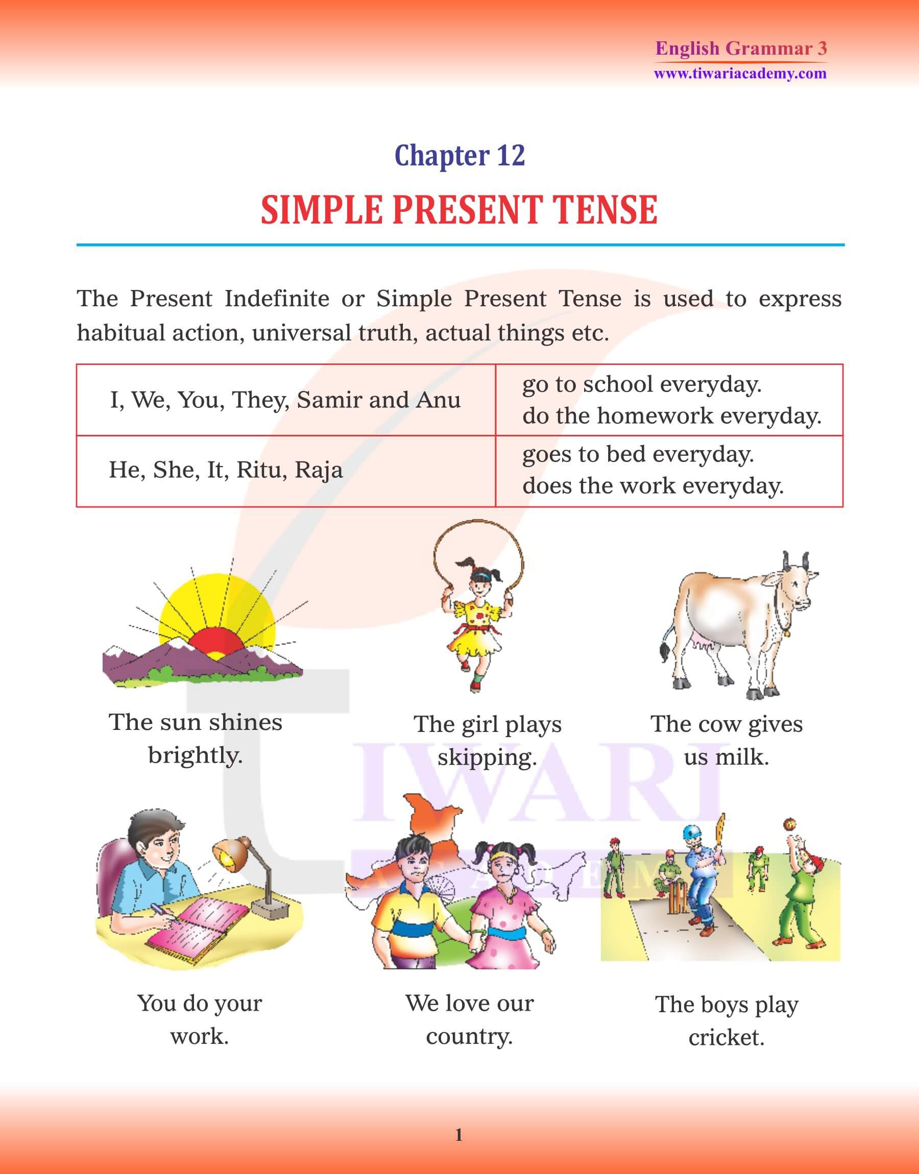 Class 3 English Grammar Chapter 12 Simple Present Tense
