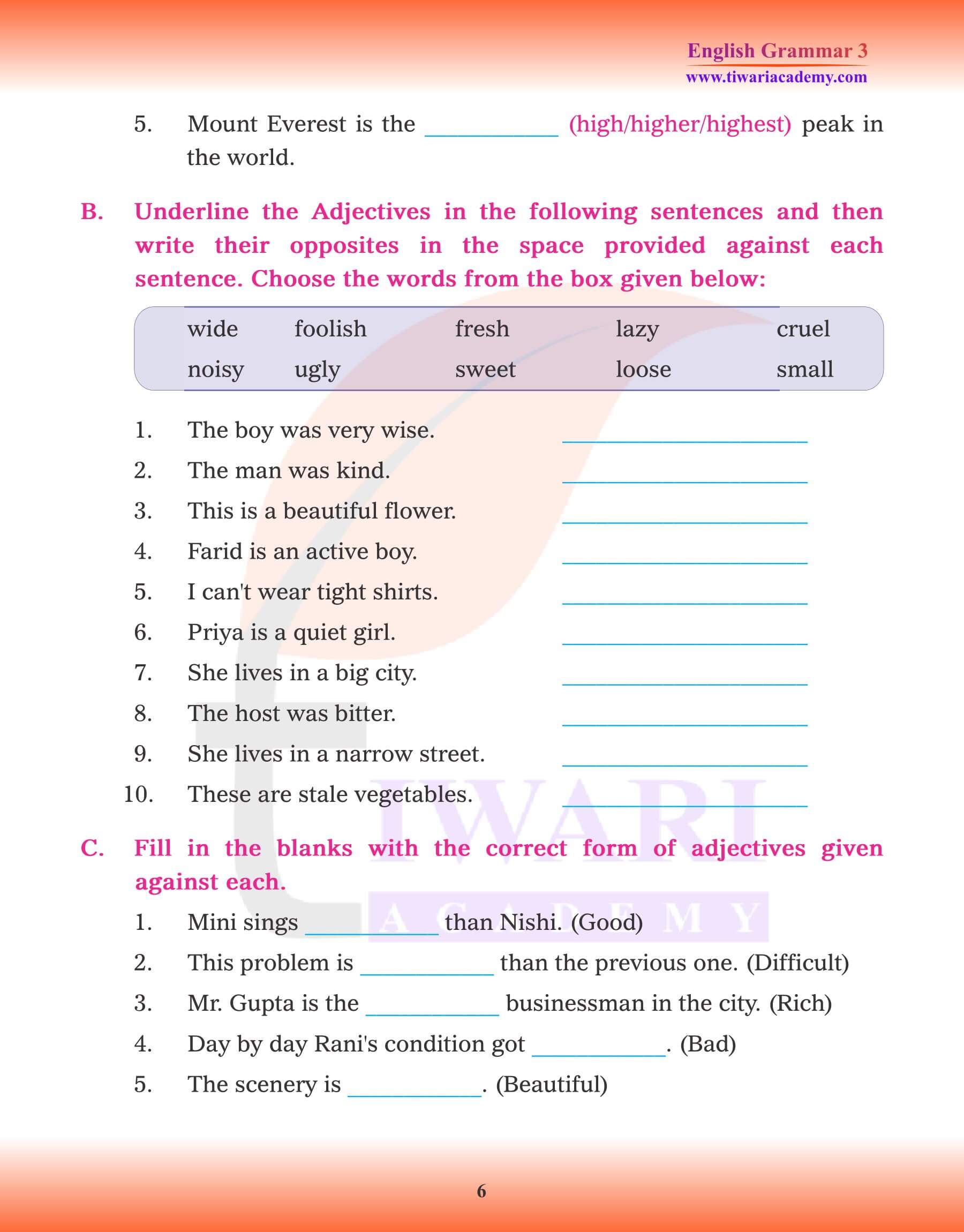 Class 3 Grammar Adjective types