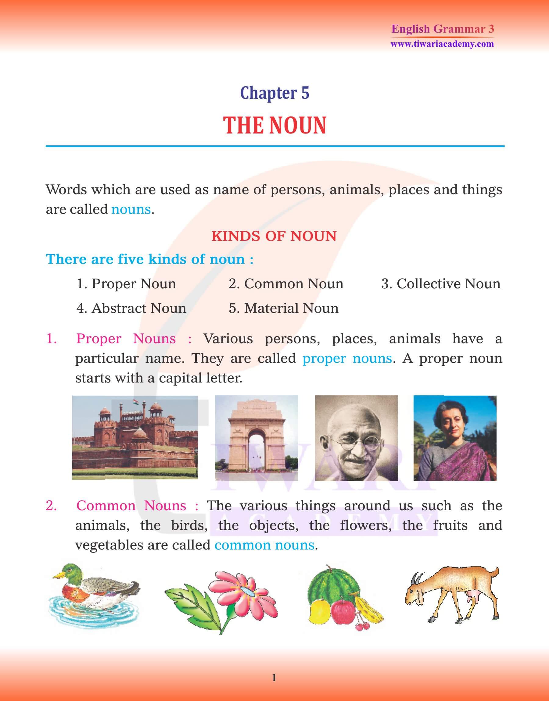 Class 3 English Grammar Chapter 5 Noun